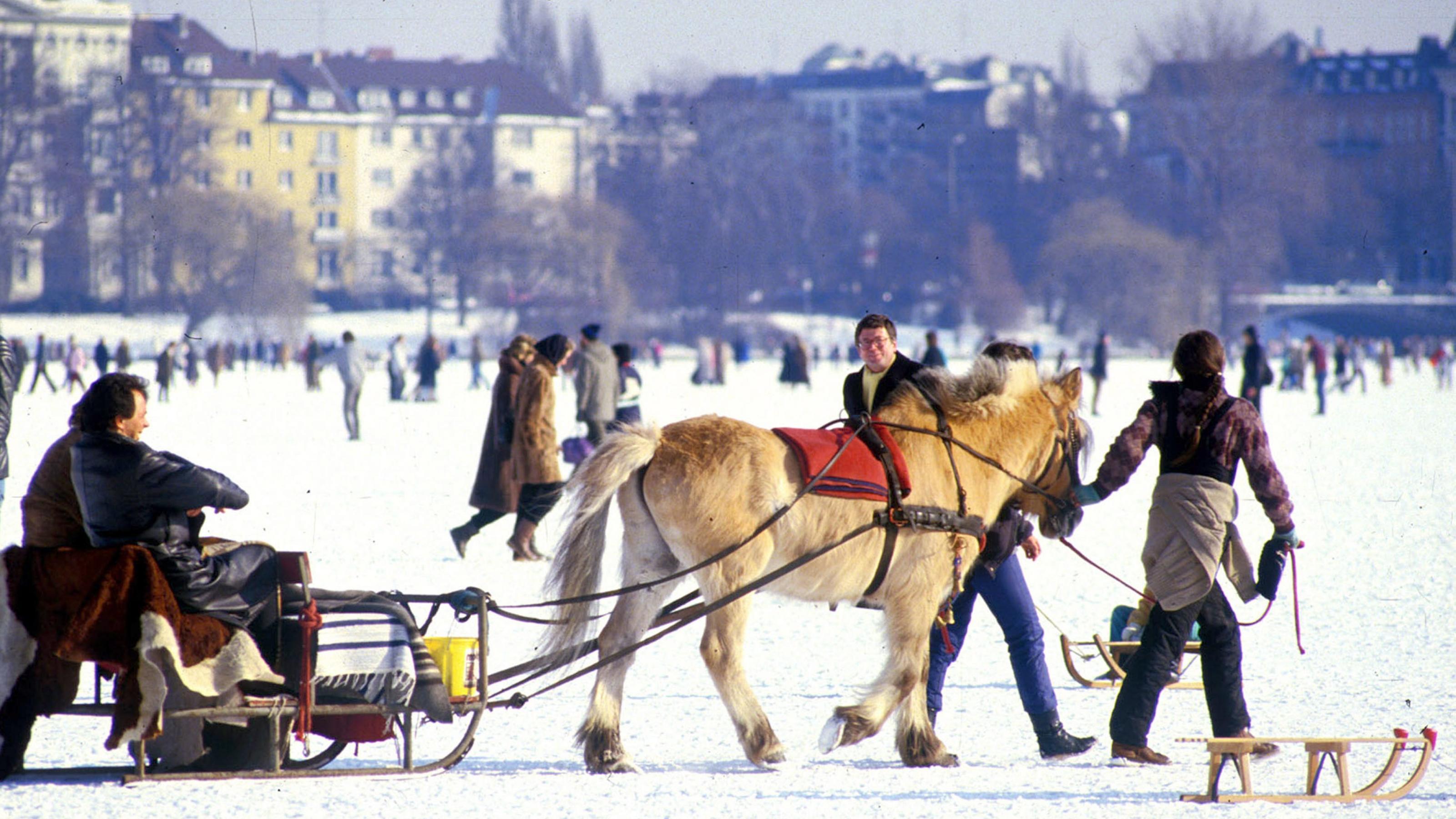 Selten war ein Winter in Deutschland so schneelos Alstereisvergnuegen : Tausende nutzten das Naturereignis zu einem Spaziergang bei herrlichem Winterwetter im Jahr 1985 - Aussenalster Hamburg zugefroren - Eiswinter - Hamburger Alster | Verwendung weltweit
