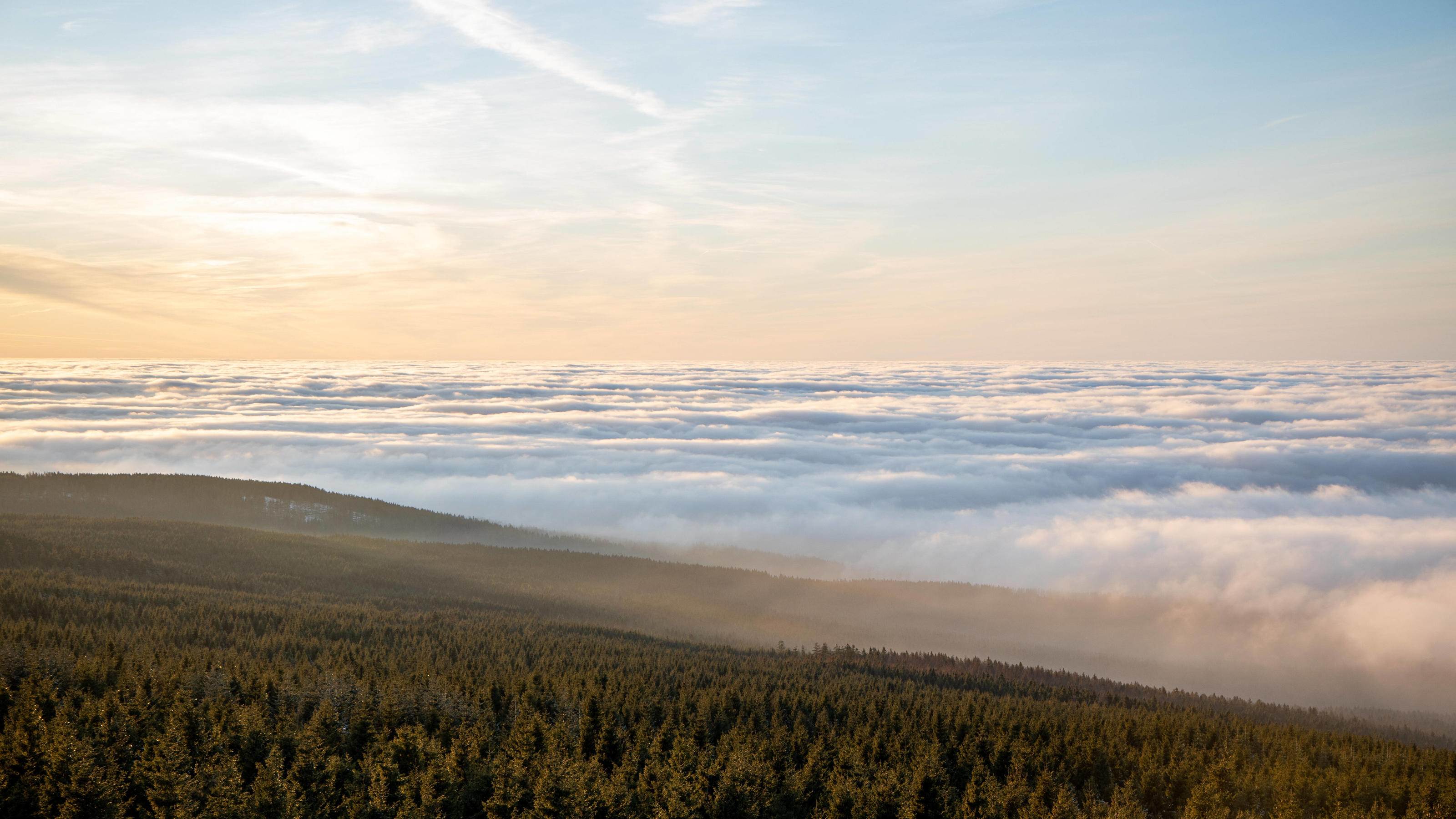 Klimawandel: Oberharz über dem Nebel 24.01.2020, Torfhaus Niedersachsen: Die Hochlagen des Oberharzes ragen kurz vor Sonnenuntergang aus einer Hochnebeldecke heraus., Torfhaus Deutschland *** Oberharz above the fog 24 01 2020, Torfhaus Niedersachsen The high alt