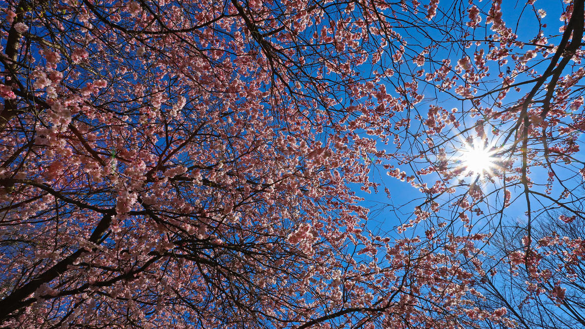 Der Zu Warme M Rz War K Lter Als Der Februar Wetter De