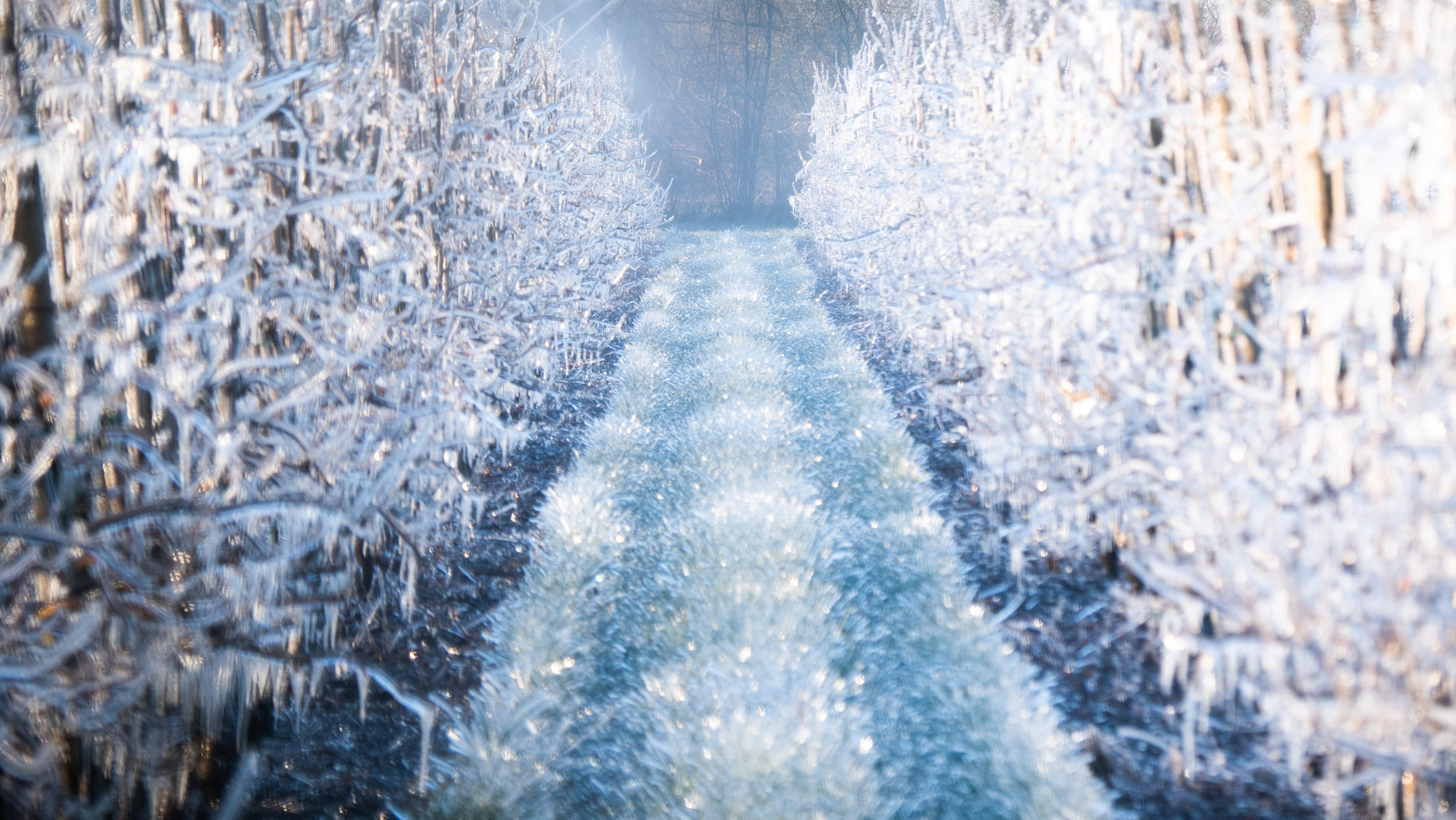 Frühling 2021 friert ein: Spätwinter trifft Deutschland hart Der Temperatursturz hat Deutschland getroffen. Aber welche Gebiete sind besonders betroffen?