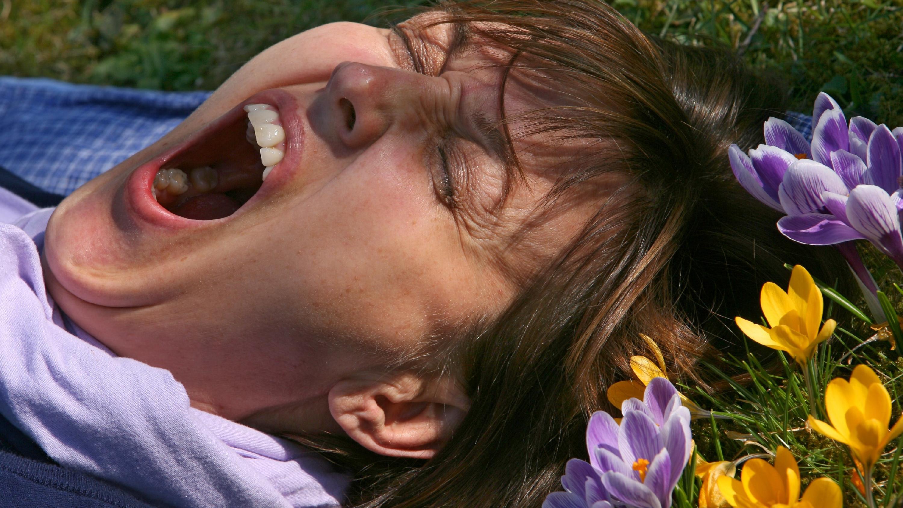 30-Tage-Wettertrend: Frühling im April mit Antriebsschwäche Eine Frau liegt am Samstag (08.04.2006) bei Würzburg auf einer mit Krokussen bewachsenen Wiese und gähnt (Illustrationsfoto zum Thema Frühjahrsmüdigkeit). Die alljährliche Frühjahrsmüdigkeit bringt die