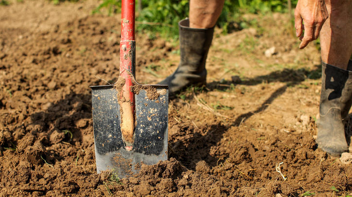 Checkliste für den Frühjahrsputz im Garten: Was jetzt zu tun ist Frühjahrsarbeiten: Je nach Bodenbeschaffenheit, können die Beete umgegraben einen Spatenstich tief werden