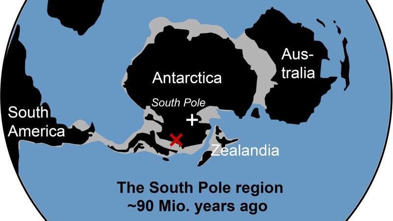 Regenwald in der Antarktis - wie das? Vereinfachte Übersichtskarte der Südpolarregion zum Zeitpunkt der Ablagerung vor etwa 90 Millionen Jahren.