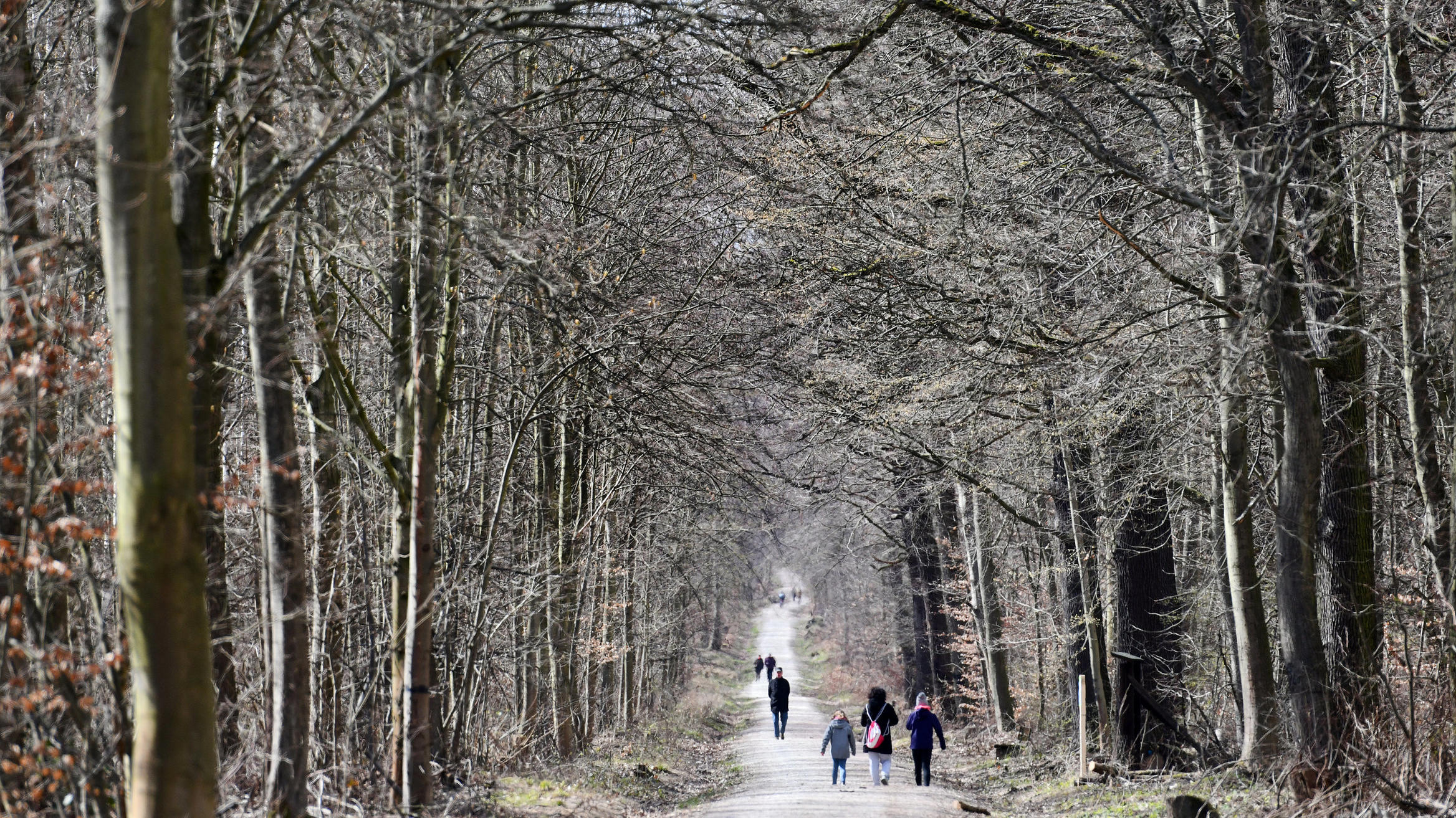 Ausflug trotz Corona: Behörden rechnen mit Ansturm auf Parks und Wälder Frühling in Thüringen