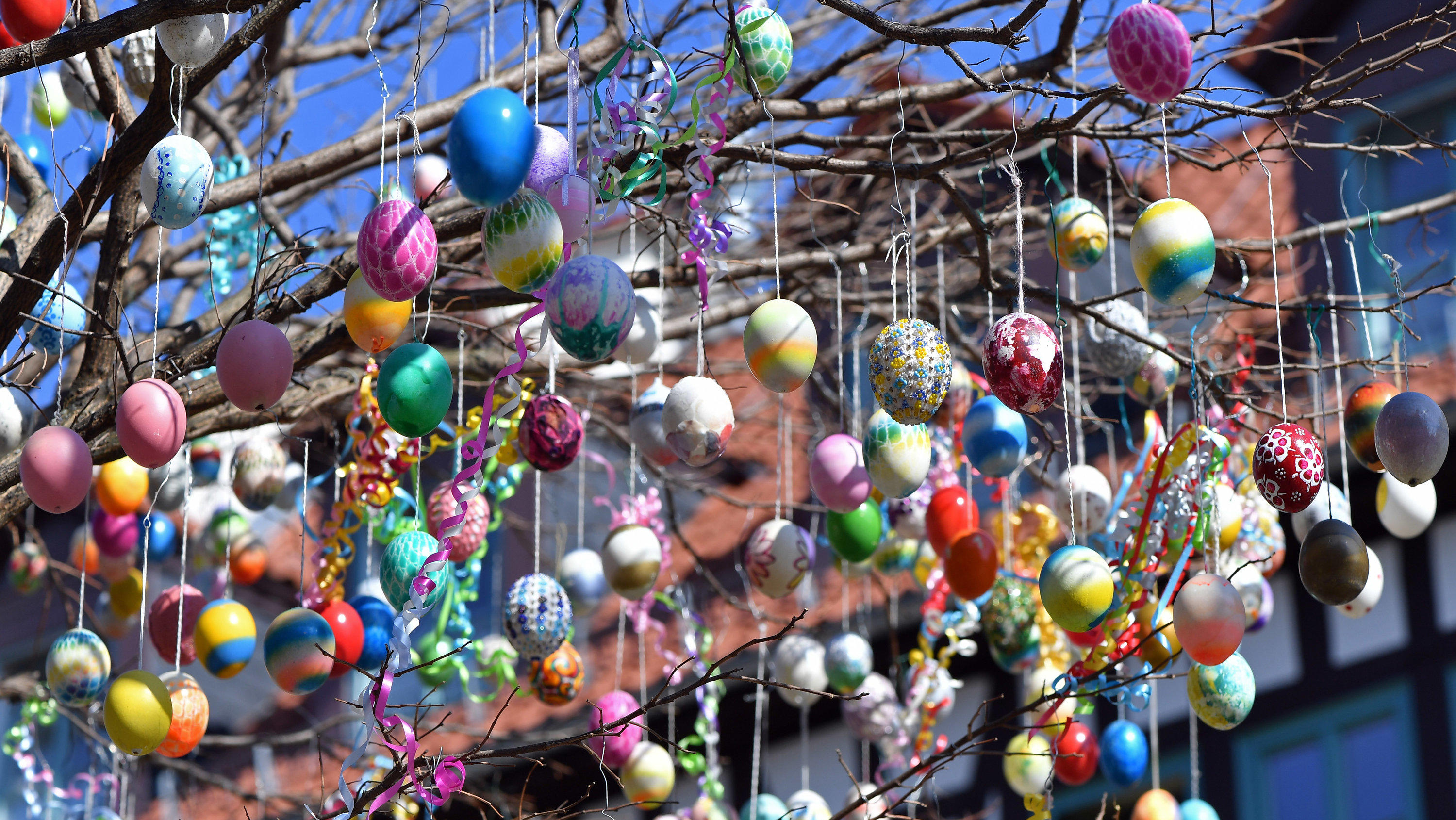 Herrliche Ostertage bis der Montag kommt - Eiersuche möglichst früh am Sonntag 07.04.2020, Thüringen, Saalfeld: Der mit rund 1000 Eiern geschmückte Ostereierbaum steht in der Blankenburger Straße, der Fußgängerzone in der Altstadt. Begründet wurde die Tradition von einer Saalfelder Familie, die seit den 1950er Jahren zu Ostern