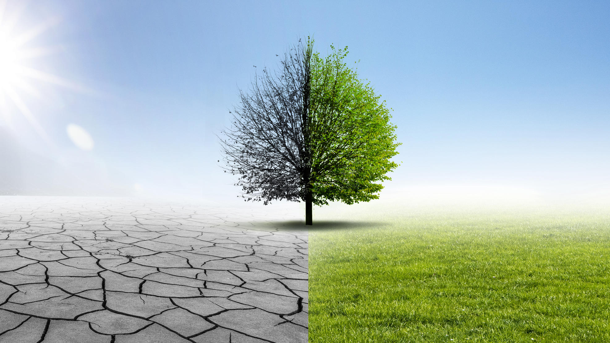 April macht was er will – nur anders Drought and Green Nature