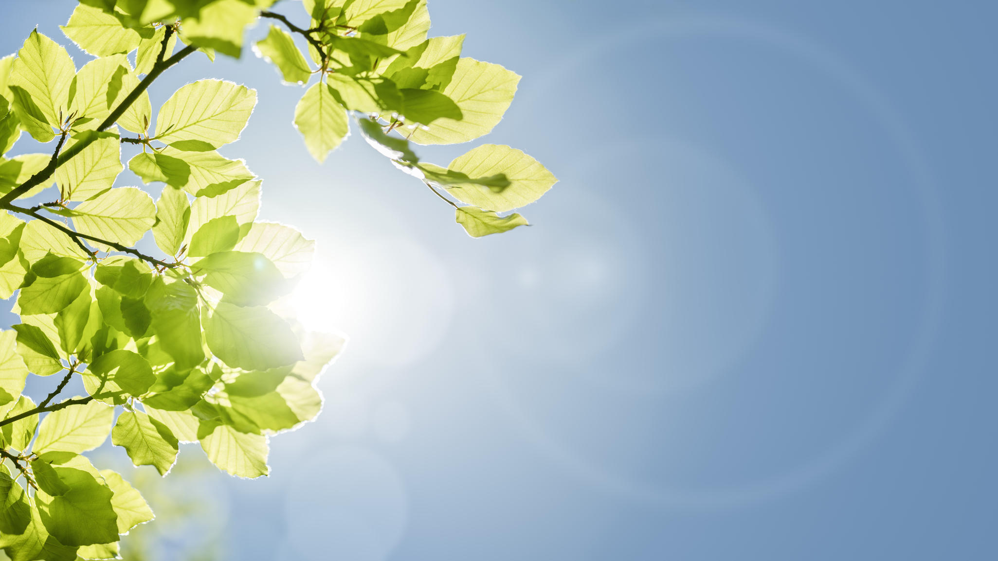 Sonnenbrand wegen Corona Sonne