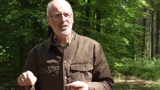 Interview mit Peter Wohlleben: Wir müssen den Wald in Ruhe lassen wohlleben