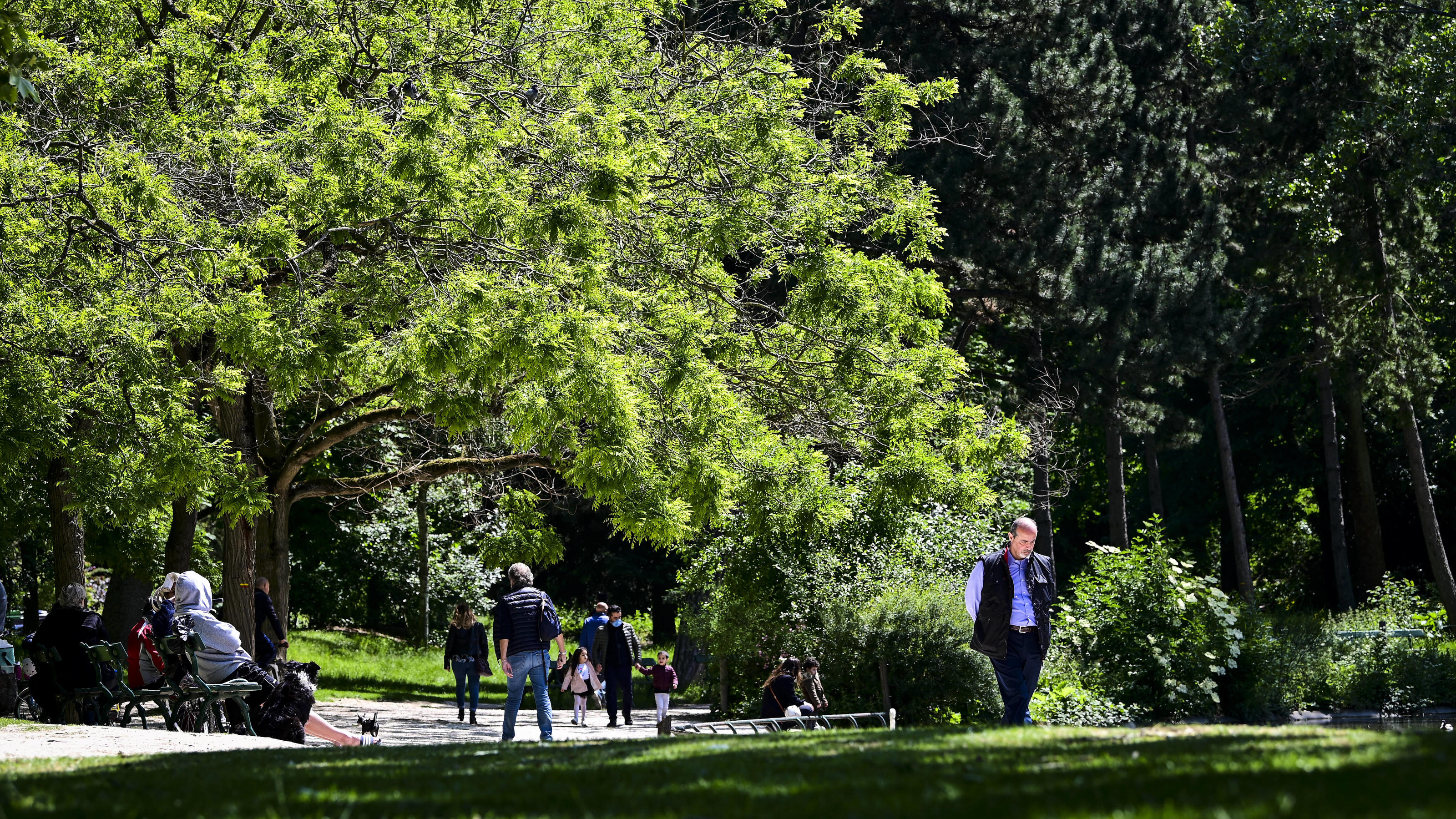 Interview mit Peter Wohlleben: Wir müssen den Wald in Ruhe lassen Les Parisiens peuvent a nouveau se promener flaner et s allonger sur les pistes et pelouses du bois de Vincennes NEWS : reouverture du Bois de Vincennes - Paris - 14/05/2020 JBAutissier/Panoramic PUBLICATIONxNOTxINxFRAxITAxBEL