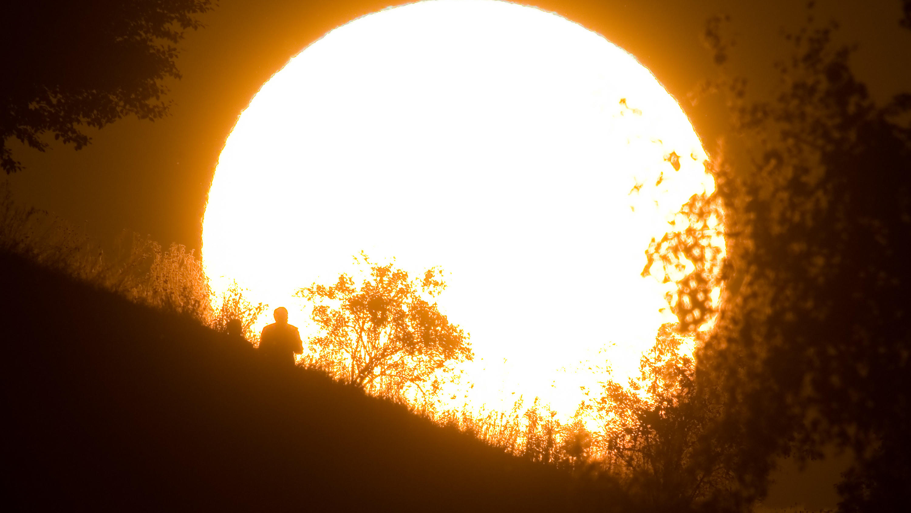 Große Hitze im Sommer 2020 auf der Nordhalbkugel? ARCHIV - 19.08.2019, Niedersachsen, Hannover: Ein Spaziergänger zeichnet sich vor der untergehenden Sonne ab. Die Weltwetterorganisation (WMO) warnt vor einem Hitzesommer in der nördlichen Hemisphäre, der Rekorde brechen könnte. (zu dpa «Weltwetteror