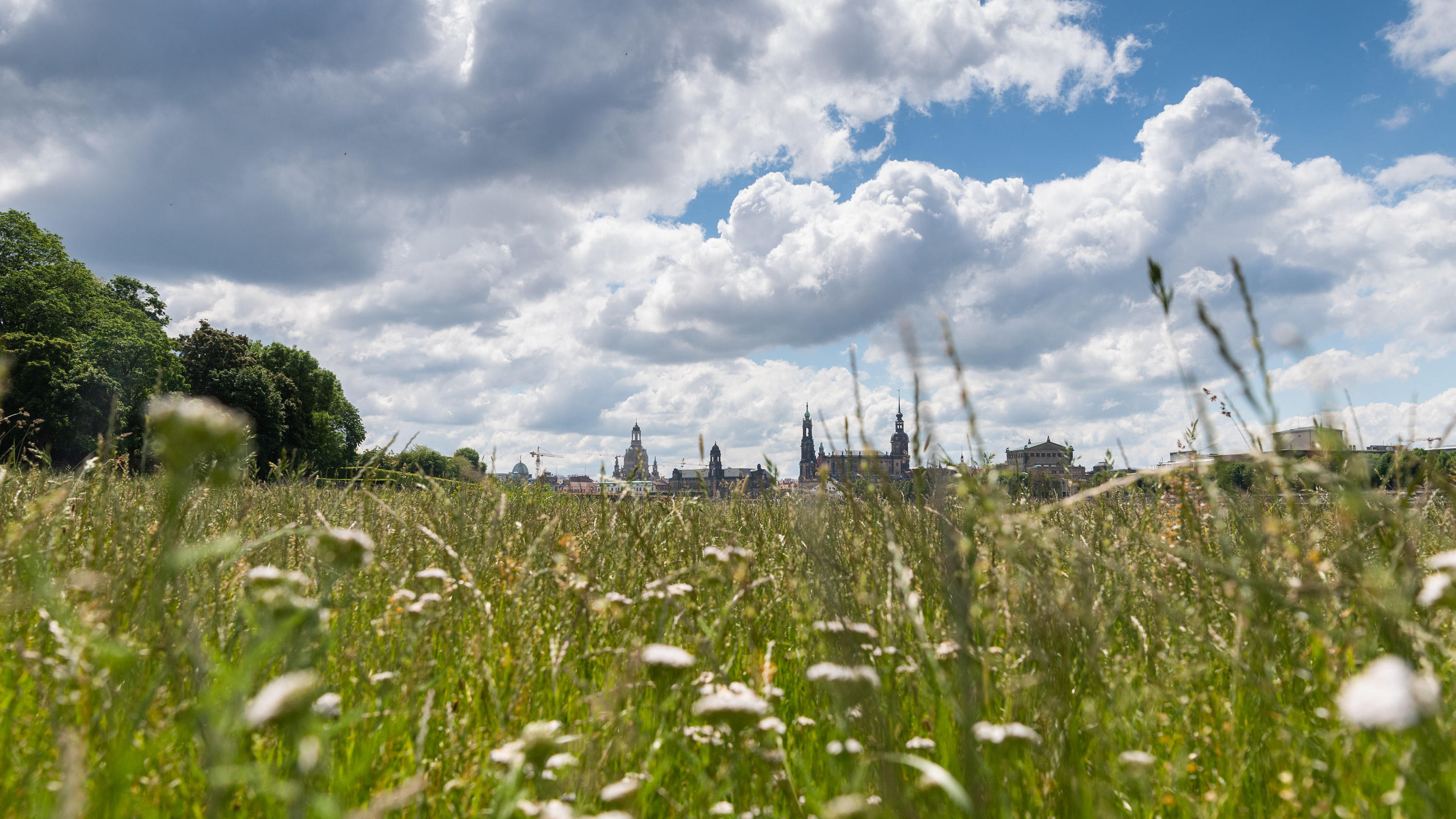 Wetterbericht für den 28.05.2020: Schauer & Gewitter versus Sonne 26.05.2020, Sachsen, Dresden: Wolken ziehen über die Elbwiesen vor der historischen Altstadtkulisse an der Elbe mit der Frauenkirche (l-r), dem Ständehaus, der Hofkirche, dem Rathaus, dem Hausmannsturm, dem Residenzschloss und der Semperoper. Foto: R