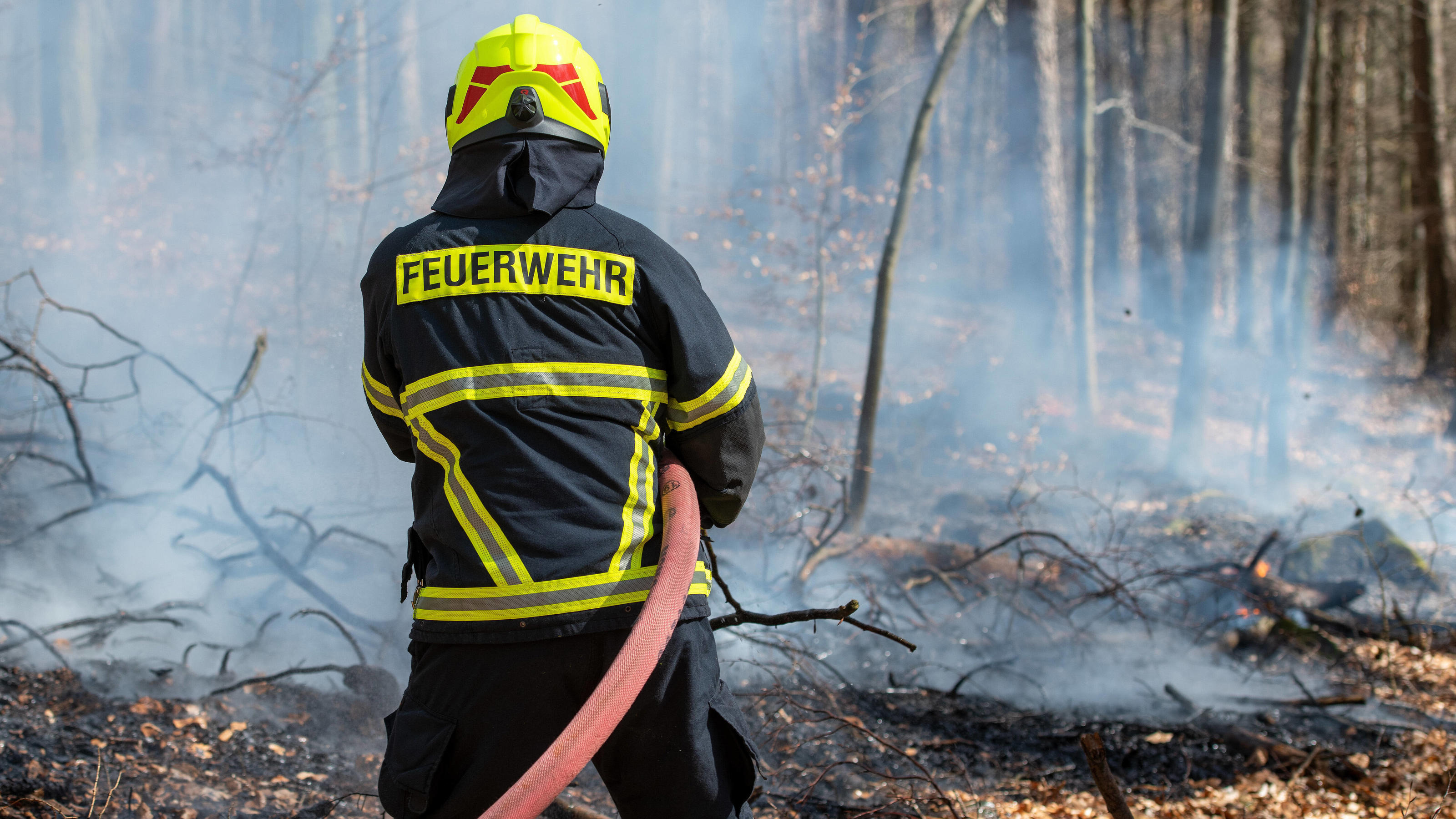 Wetter-Bilanz Mai 2020: Kalt, heiß, sonnig, trocken Waldbrandgefahr, 05.04.2020, im Rochlitzer Bergwald kommt es an einem Wanderweg zu einem kleinen Waldbrand. Auf einer Fläche von etwa einem Hektar brennt trockenes Laub und Holz. Rochlitz Sachsen Deutschland *** Forest fire hazard, 05 04 2020, a sma