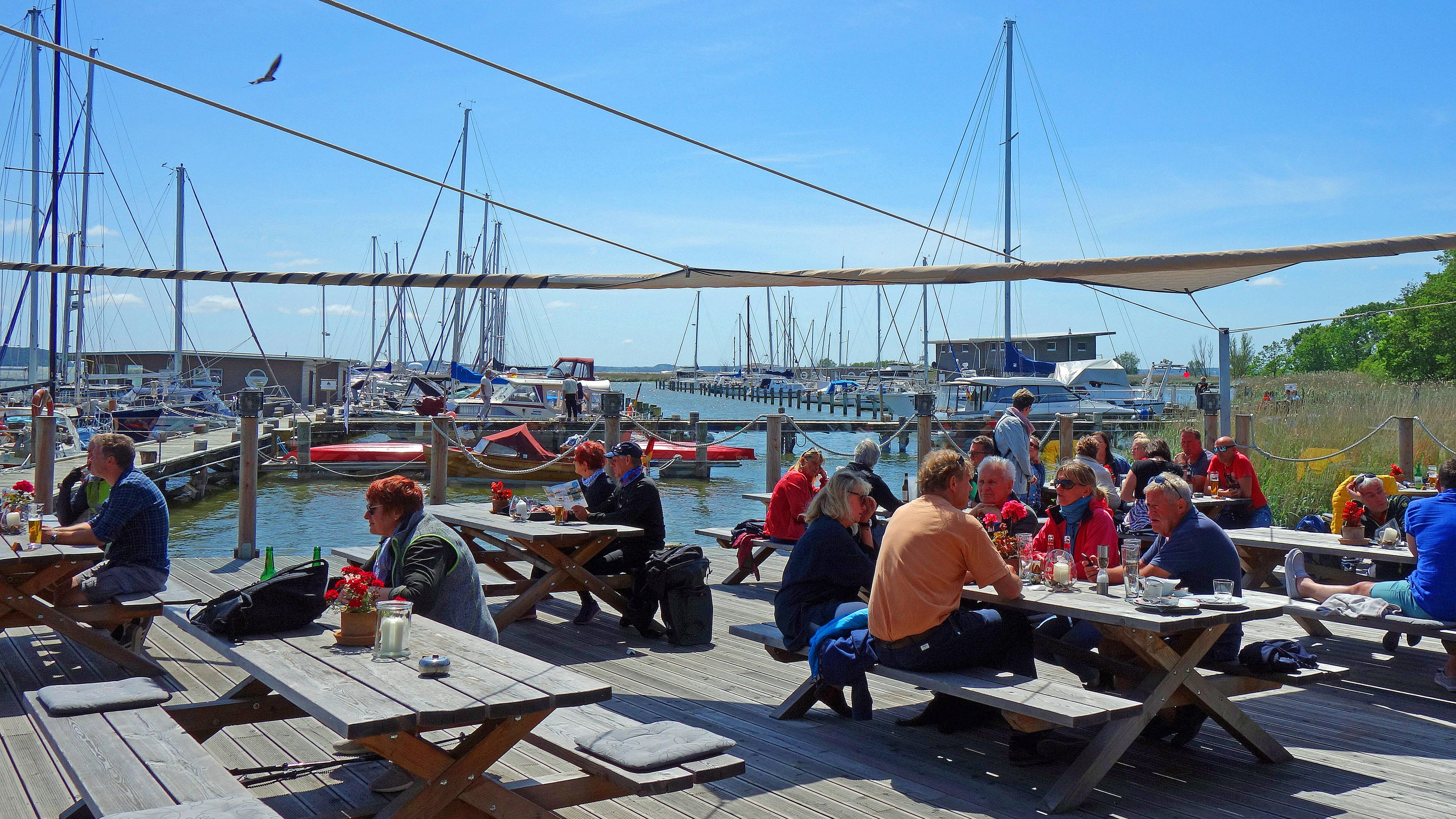 An diesen Hotspots wurde es ganz schön voll Yachthafen,Restaurant, Kaffees, Imbiss Pfingstsonntag nach der Lockerung in Mecklenburg / Vorpommern als hätte es nie Corona gegeben. Urlauber und Einheimische hier in Krummin Naturhafen auf der Insel Usedom. 31.05.2020 in Krummin Coronavirus *** Mar