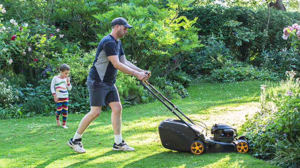Gartengestaltung: Diese Tools braucht jeder Hobbygärtner Gartenpflege