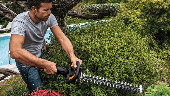 Gartengestaltung: Diese Tools braucht jeder Hobbygärtner Worx-Heckenschere