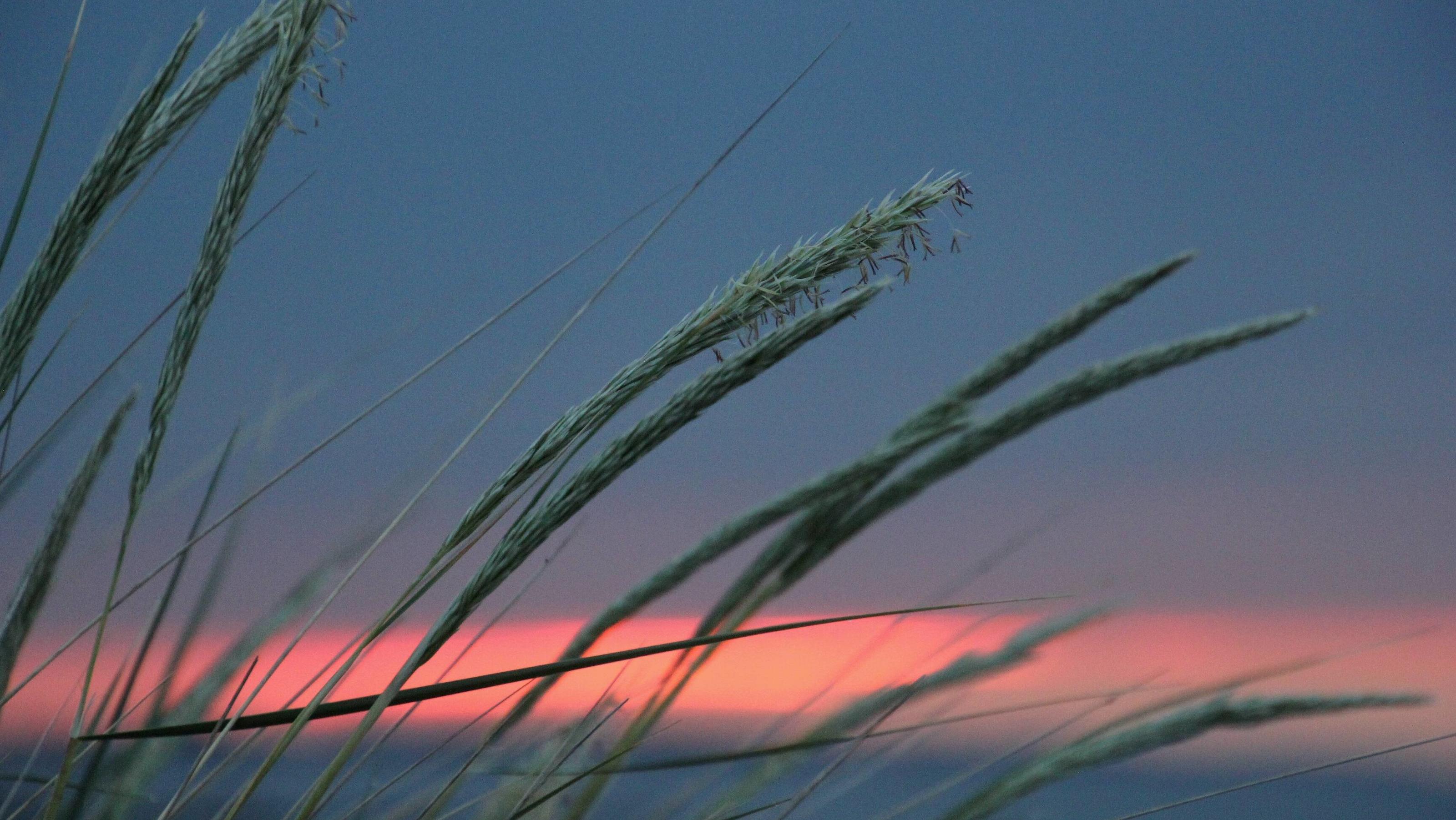 Wetterbericht für den 13.07.2020: Sonne für fast alle News Bilder des Tages Kurze Lichtblichtblicke am Morgen an der Ostsee. Bliesdorf. Um genau 4:46, kam am Horizont über Grömitz an der Seebrücke ein glutroter Feuerbll hinter den Wolken am Himmel hervor. Ein wenig schwer hatte es unsere liebe Sonne heu