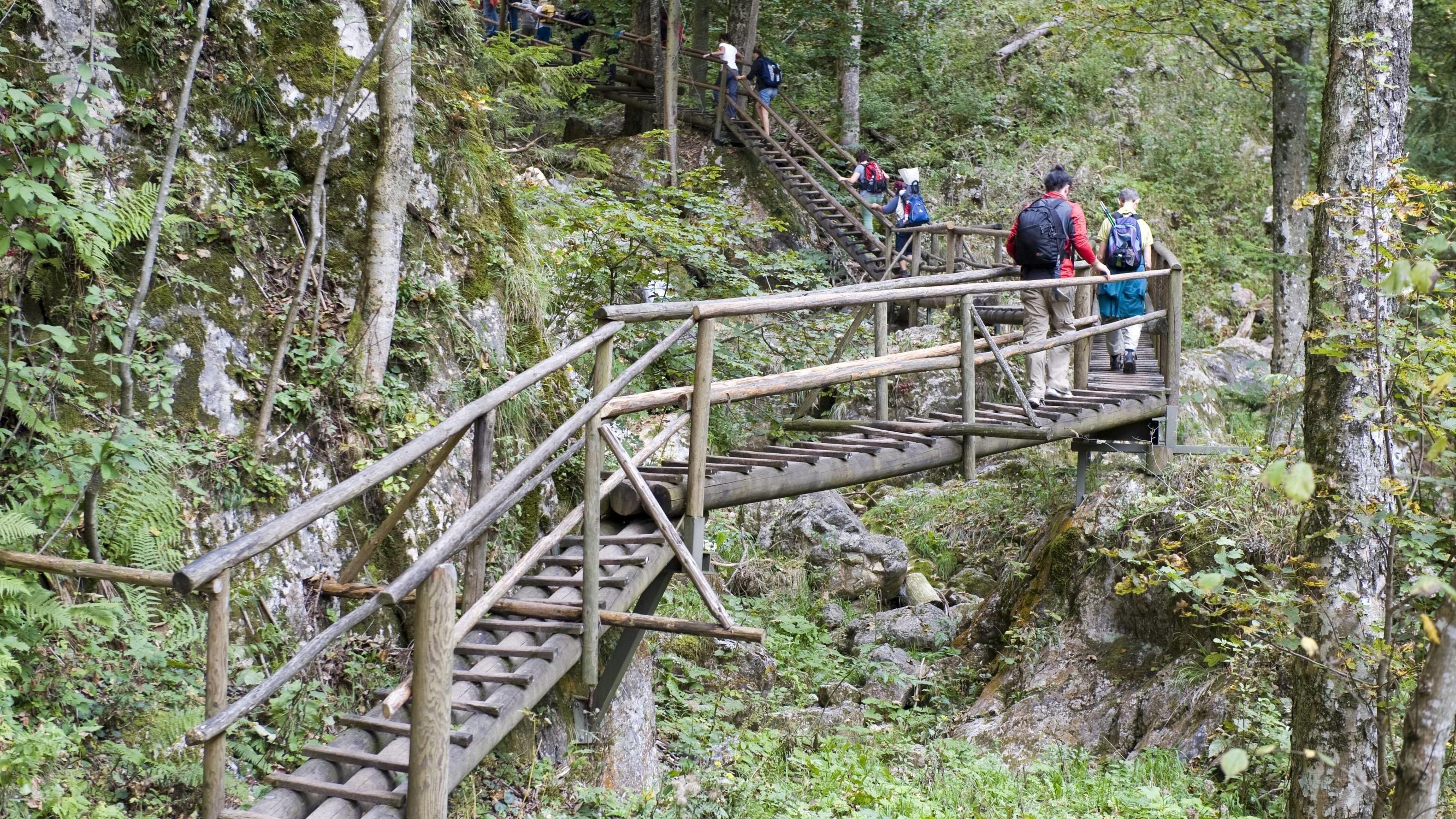 Nach Felssturz in Klamm in Österreich: Dritter Toter geborgen Bärenschützklamm, Grazer Bergland, Steiermark, Österreich - Bärenschützklamm, Styria, Austria BLWX100594 Copyright: xblickwinkel/McPhotox/FotoxBegsteigerx