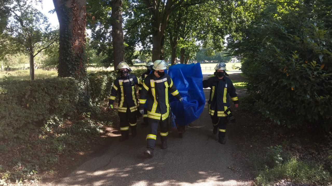 Feuerwehr rettet kleines Reh aus Pool Auf einer blauen Abdeckplane brachten die Feuerwehrmänner das Tier in den Wald zurück.