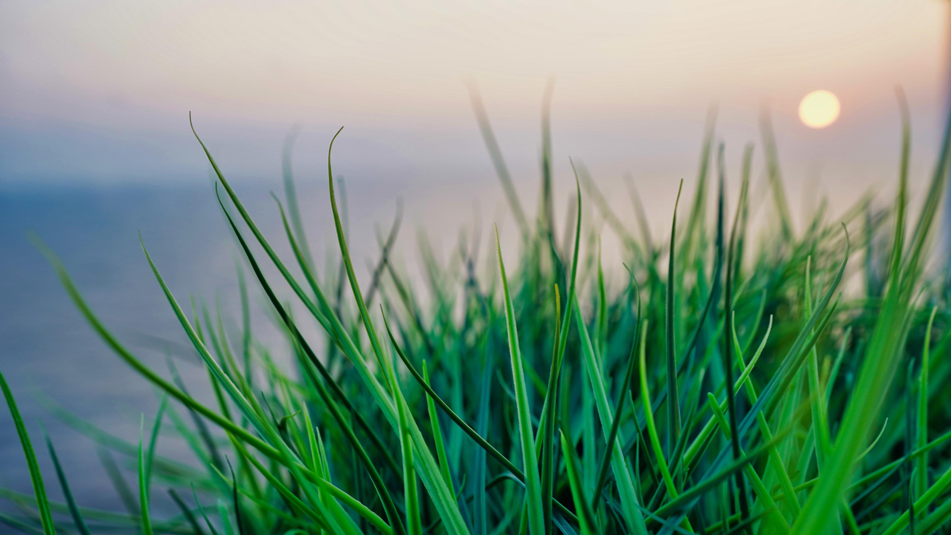 Diese Kompaktkameras schießen scharf: Nie mehr maue Handy-Fotos Bokeh: Sonnenuntergang