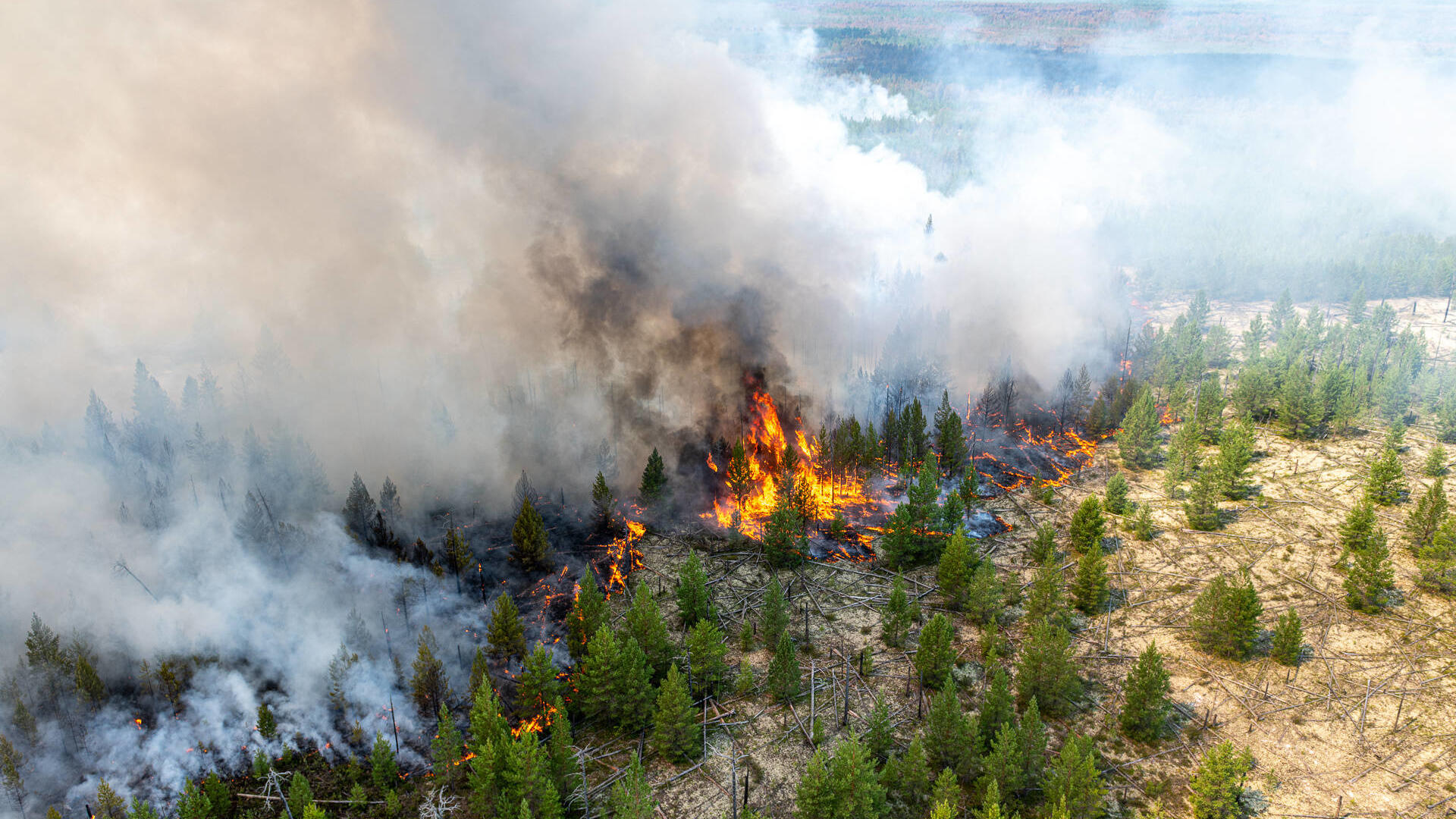 So wenig Arktis-Eis wie nie - Rekordwerte in Spitzbergen Dieses Foto zeigt einen Waldbrand der Taiga in der Gegend um Chanti-Mansisk am 21. Juli.