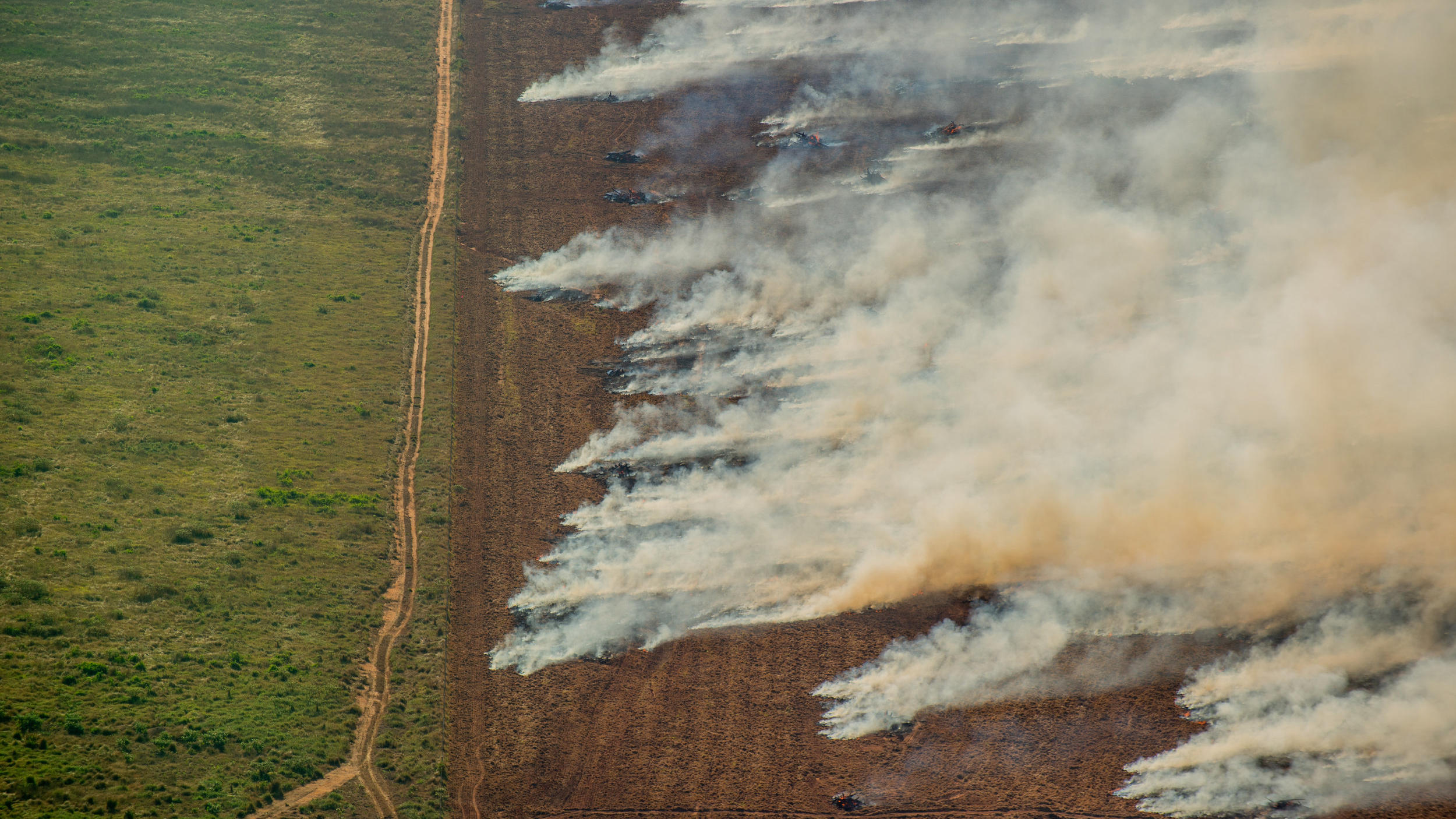 Schon wieder mehr als 1.000 Feuer in Amazonien Es brennt schon wieder in Brasilien.