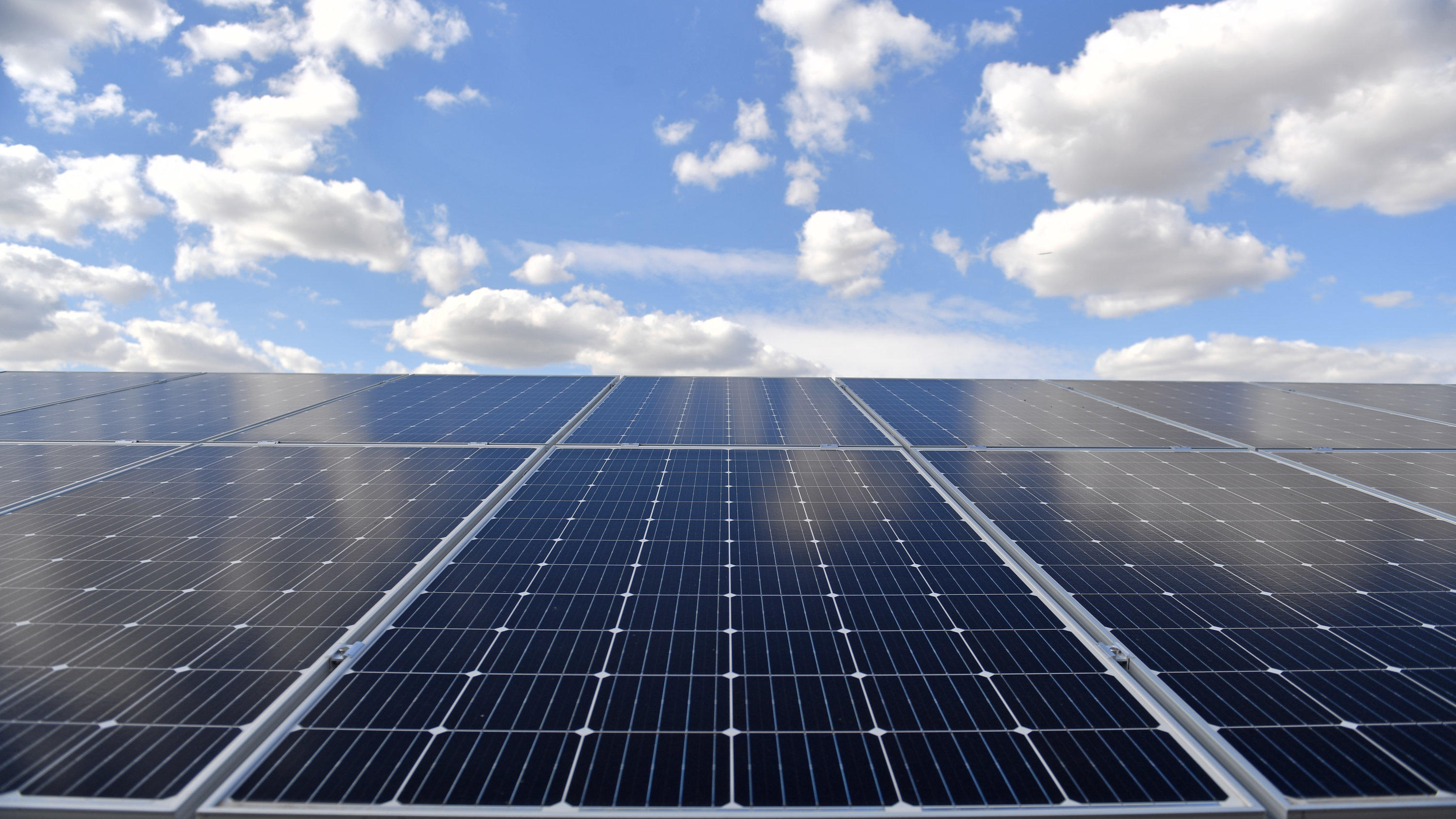 Darum ist Ihre Stromrechnung ungerecht Verlinden fordert, mehr in Erneuerbare Energien zu investieren, sonst verfehlen seien die Pariser Klimaziele in Gefahr.