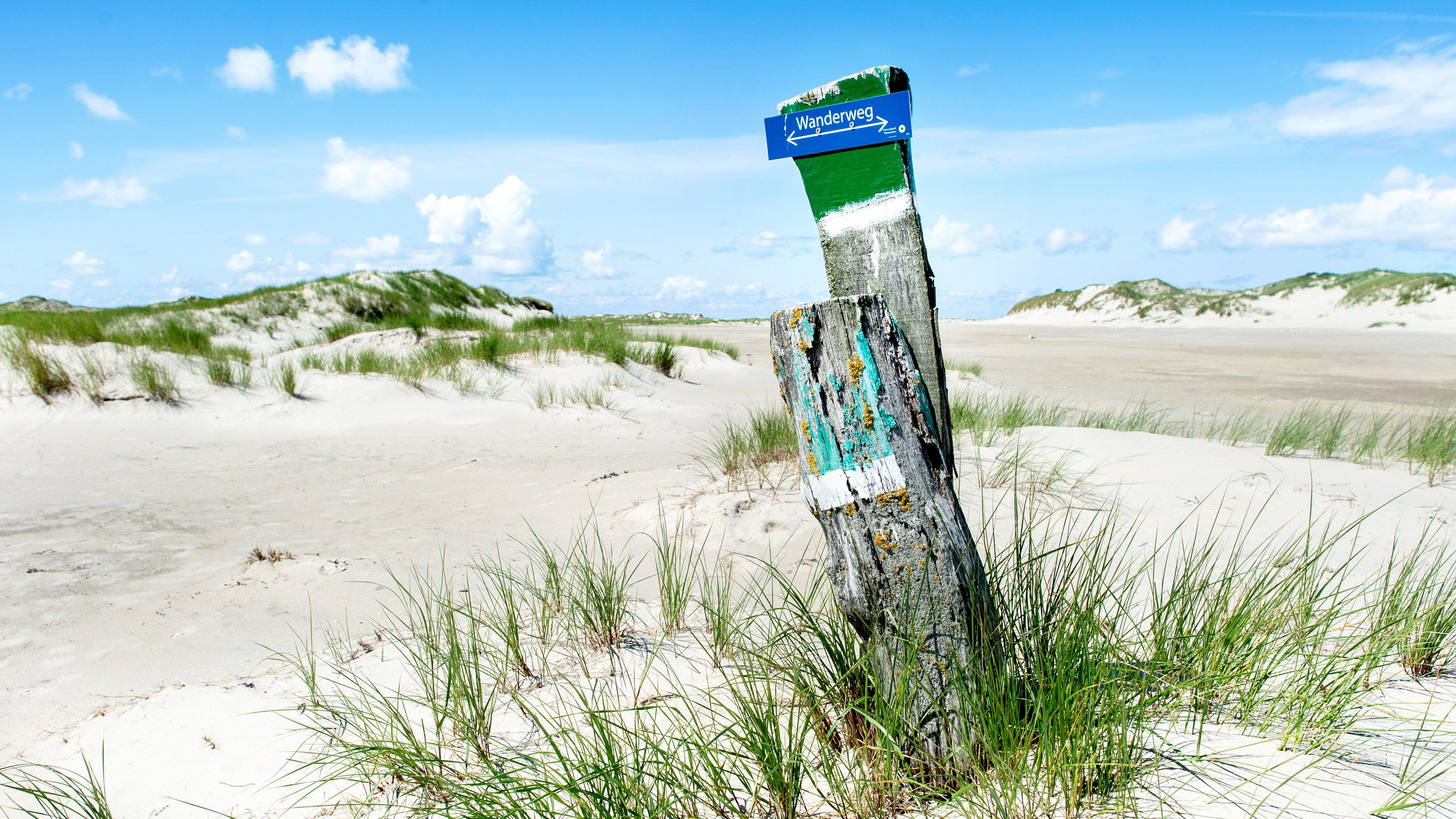 Hitzefahrplan: Der Sommer 2020 legt groß auf 11.07.2020, Niedersachsen, Norderney: Ein Holzpfahl mit der Aufschrift ·Wanderweg· steht in der Dünenlandschaft am Ostende der Insel. Foto: Hauke-Christian Dittrich/dpa +++ dpa-Bildfunk +++