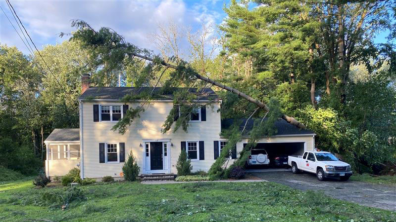 USA: Hurrikan „Isaias“ hinterlässt Spur der Verwüstung - Zwei Tote im Wohnmobilpark A pine tree lies across a home in the aftermath of Tropical Storm Isaias in Newtown, Connecticut, U.S., August 4, 2020. REUTERS/Dan Burns