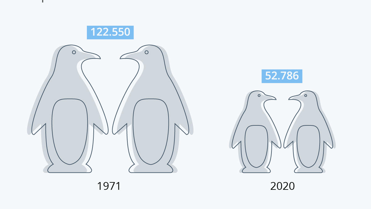 Neue Pinguine aus dem Weltall entdeckt zuegelpinguine statistik