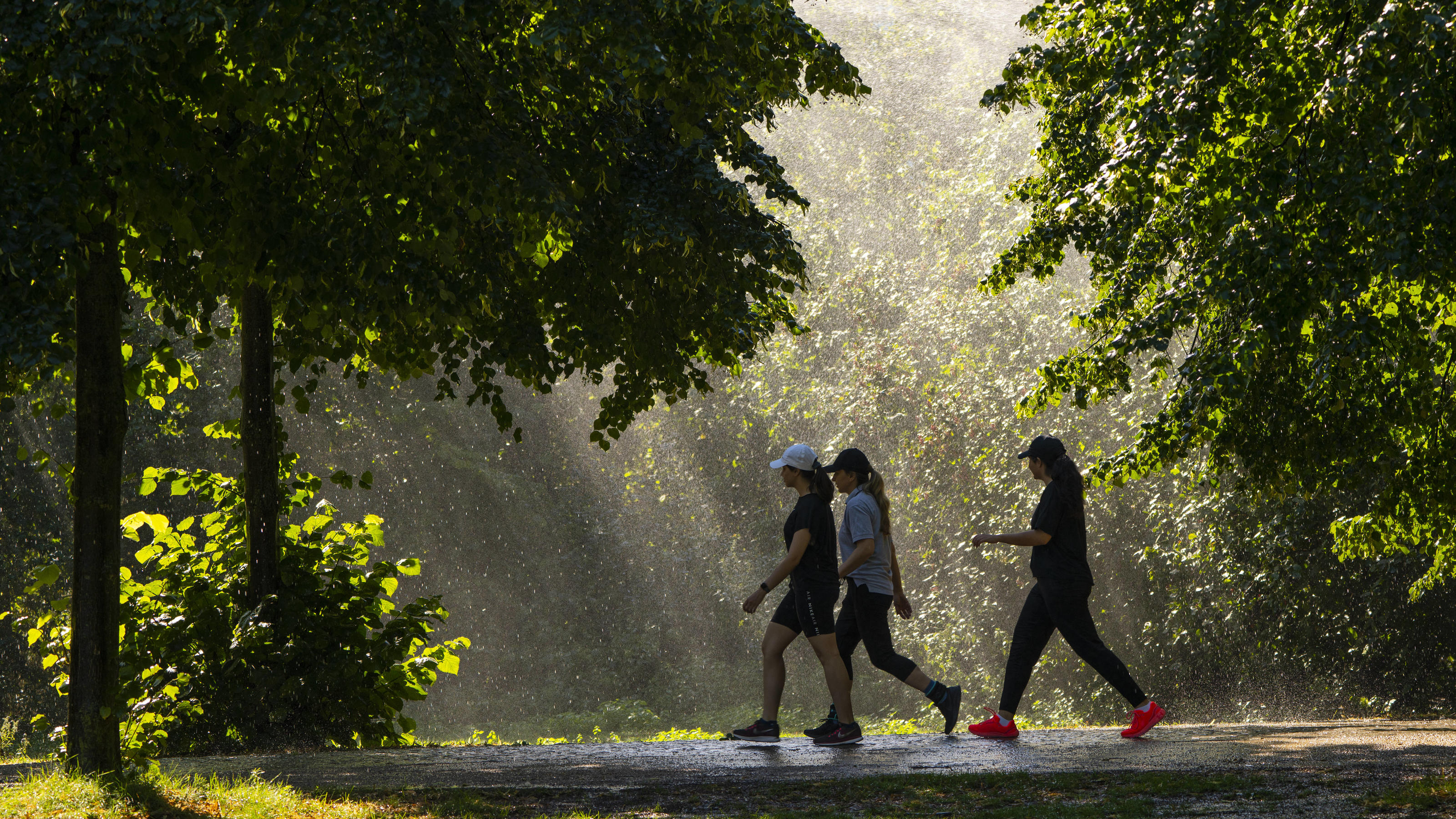 Endlich Linderung in Sicht: Bis Samstag gibt es Regen für alle Wegen der anhaltenen extremen Trockenheit werden die Bäume im Großen Tiergarten künstlich mit Rasensprengern bewässert.