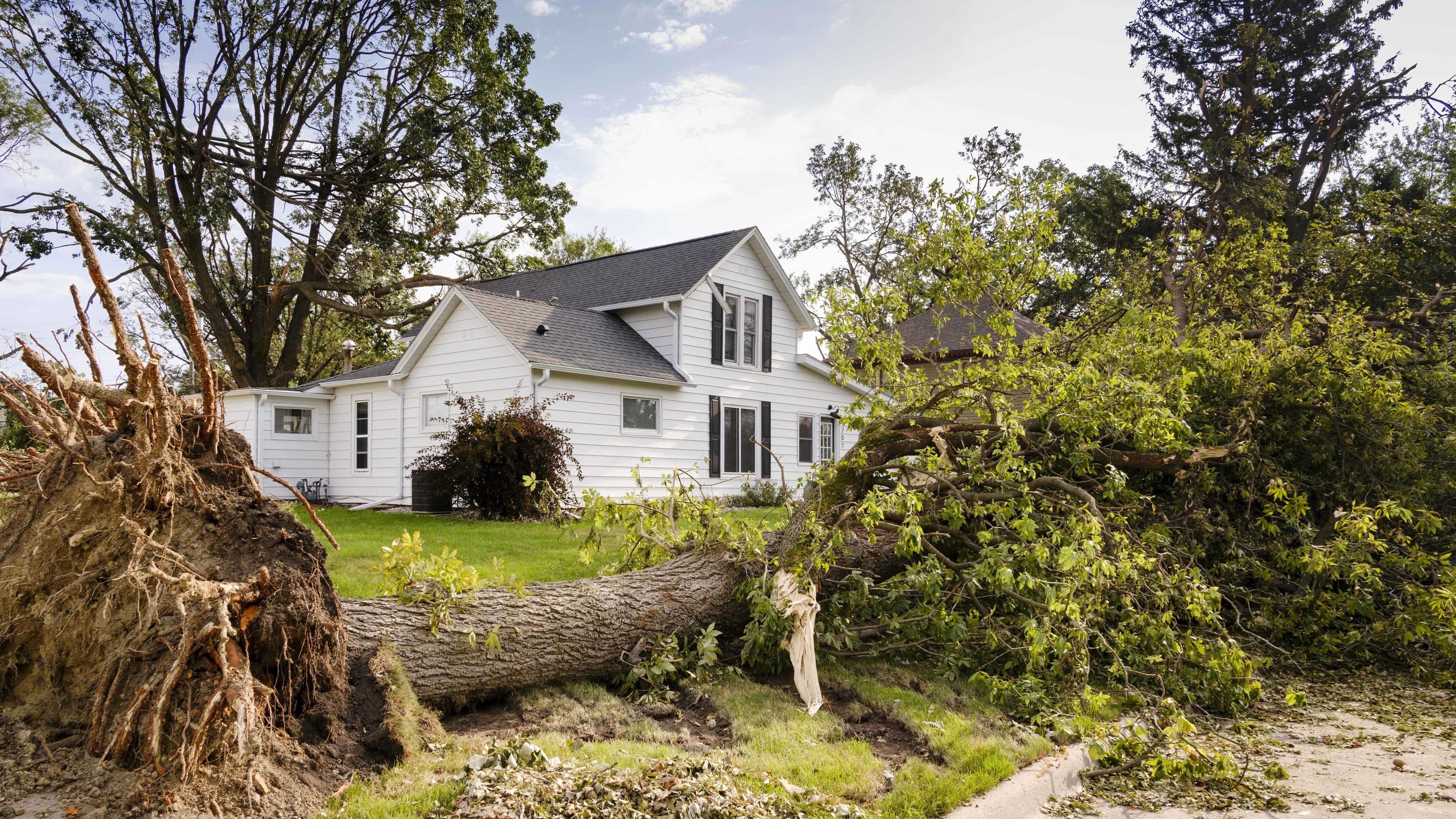 Sturm Kirsten: Das war der Live-Ticker August 12, 2020, Slater, Iowa, U.S: A large tree in front of a home in central Iowa. According to Iowa Governor Kim Reynolds, the storm damaged 10 million acres of corn and soybeans in Iowa, about 1 one-third of Iowa s 32 million acres of agricultur