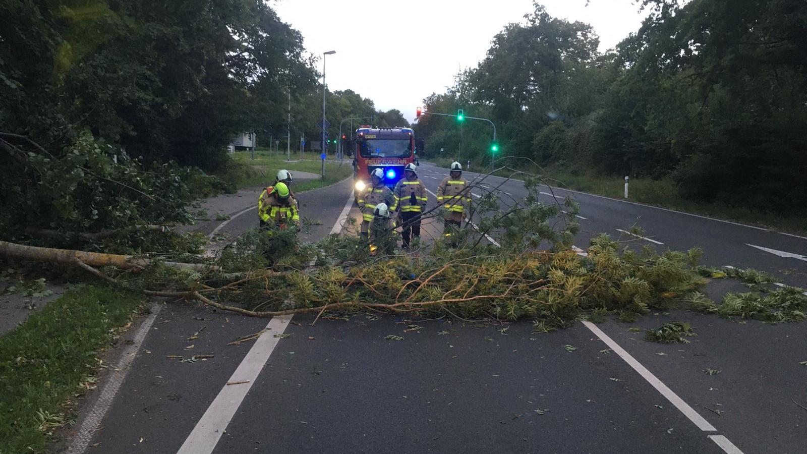 Sturm Kirsten: Das war der Live-Ticker Die Feuerwehr in Grevenbroich hatte es am Morgen mit vielen umgestürzten Bäumen zu tun, die von der Straße geräumt werden mussten.