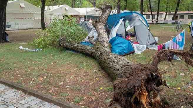Schwestern (3, 14) beim Campen von Baum erschlagen Tod beim Campen in Italien: Schwestern von Baum erschlagen