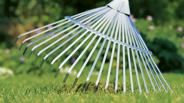 Laubbläser im Herbst: Welche Fehler Sie vermeiden sollten! Laubbläser