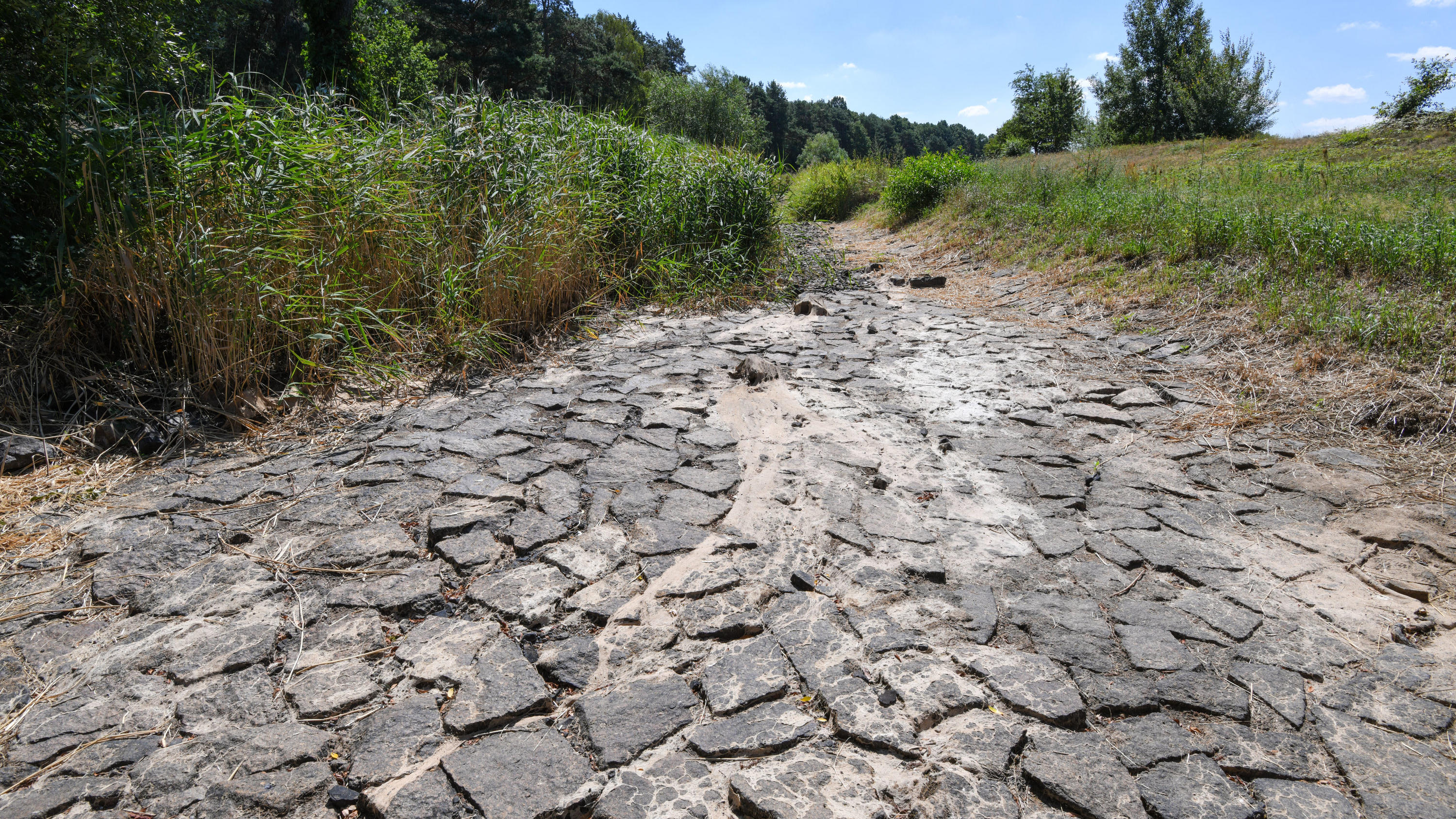 Wie die Reichen ganz einfach das Klima retten können Es ist viel zu trocken, Flüsse fallen trocken, wie hier die Schwarze Elster in Brandenburg.
