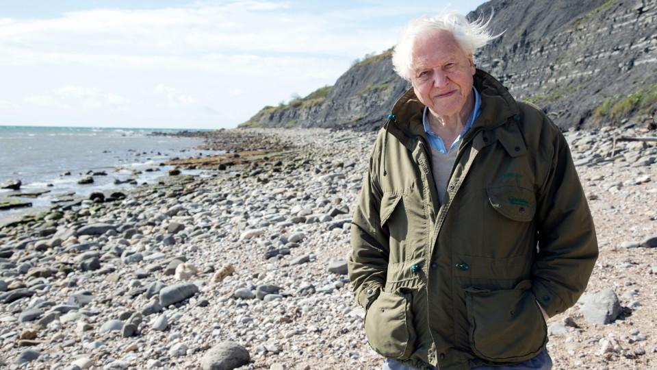 Tierfilmer geht mit 94 Jahren auf Instagram und hat gleich 1,6 Millionen Follower David Attenborough - mit 94 Jahren zum Social-Media-Star geworden.