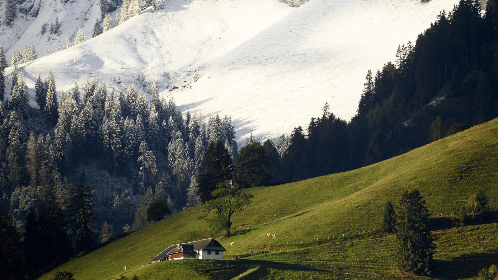 Es schneit bis auf 1.000 Meter: Wieder neuer Wintereinbruch in den Alpen So sah es schon Ende September in der Schweiz aus - und so wird es auch am Wochenende wieder aussehen, auch in den deutschen Alpen.