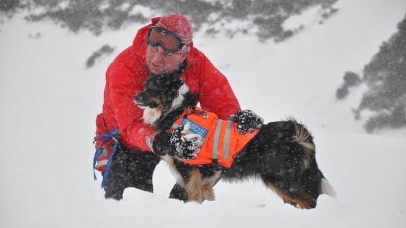 Ältester Suchhund Englands (14) geht in Rente John Leadbetter und Skye arbeiten seit 11 Jahren zusammen