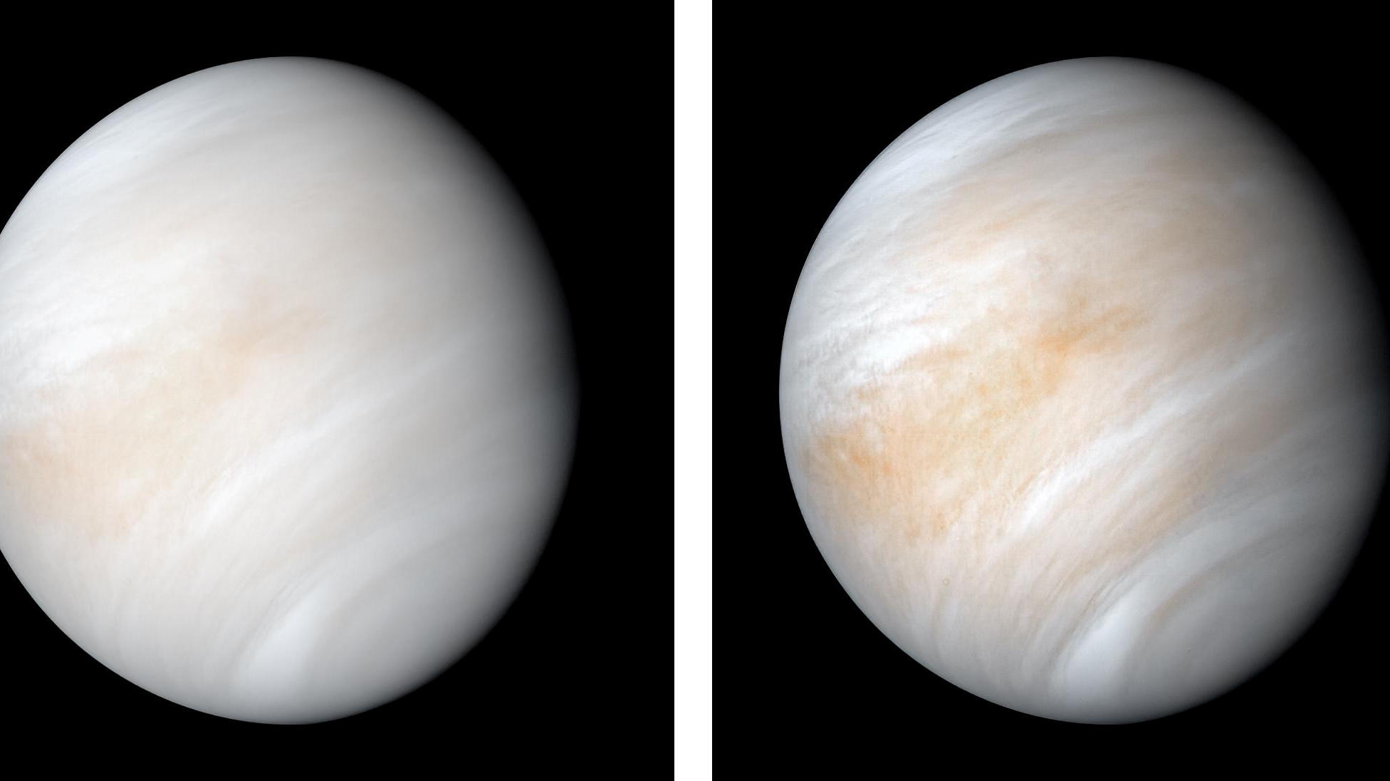 Leben auf der Venus scheint zu existieren As it sped away from Venus, NASA's Mariner 10 spacecraft on February 7, 1974, captured this seemingly peaceful view of the planet, nearly the size of Earth, wrapped in a dense, global cloud layer. The clouded globe of Venus is a world of intense heat