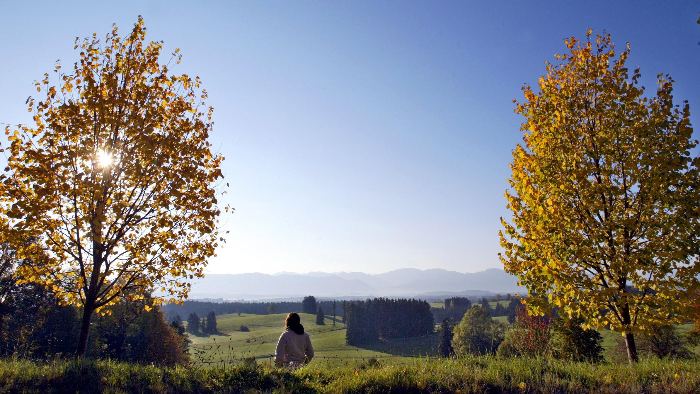7-Tage-Trend: Der Goldene Oktober fällt auf einen Sonntag 7-Tage-Trend: Der Goldene Oktober fällt auf einen Sonntag