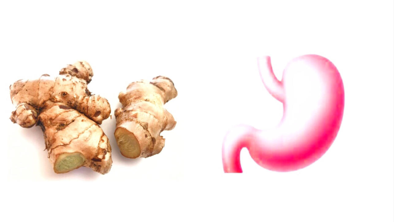 7 Lebensmittel, die wie die Organe aussehen, für die sie gut sind! Ingwer kann Übelkeit vorbeugen.