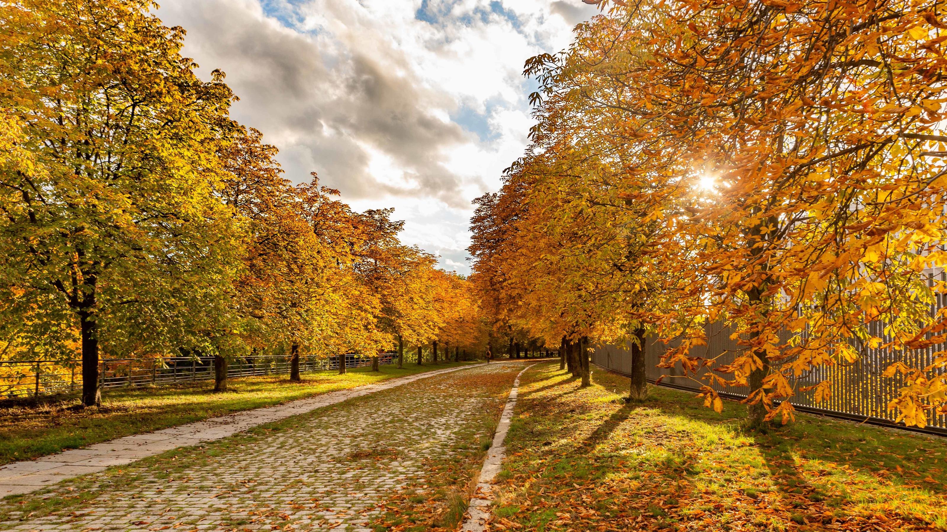 Hat fallendes Herbstlaub einen Einfluss auf die Erdrotation? Sonniger Herbsttag in Berlin, Buntes Herbstlaub im Oktober Berlin Berlin Deutschland *** Sunny autumn day in Berlin, colourful autumn leaves in October Berlin Berlin Germany