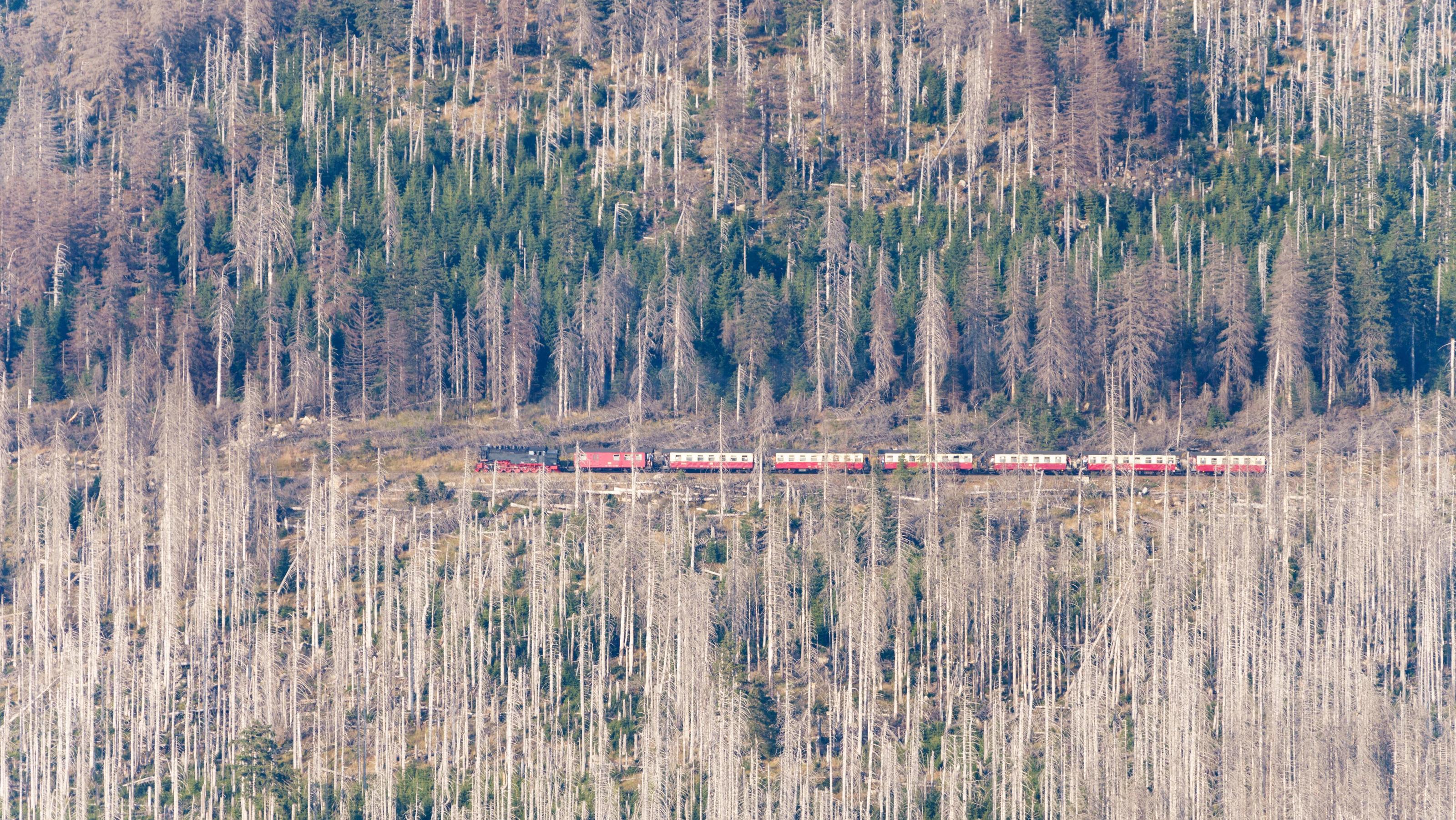 So lief das Leben auf dem Forschungsschiff Polarstern ohne Corona-Beschränkungen News Bilder des Tages Waldsterben im Harz 22.09.2020, Torfhaus Niedersachsen: Blick von der Achtermannshöhe im Harz auf zahlreiche abgestorbene Fichten im Nationalpark Harz., Torfhaus Deutschland *** Forest dieback in the Harz 22 09 2020, peat house