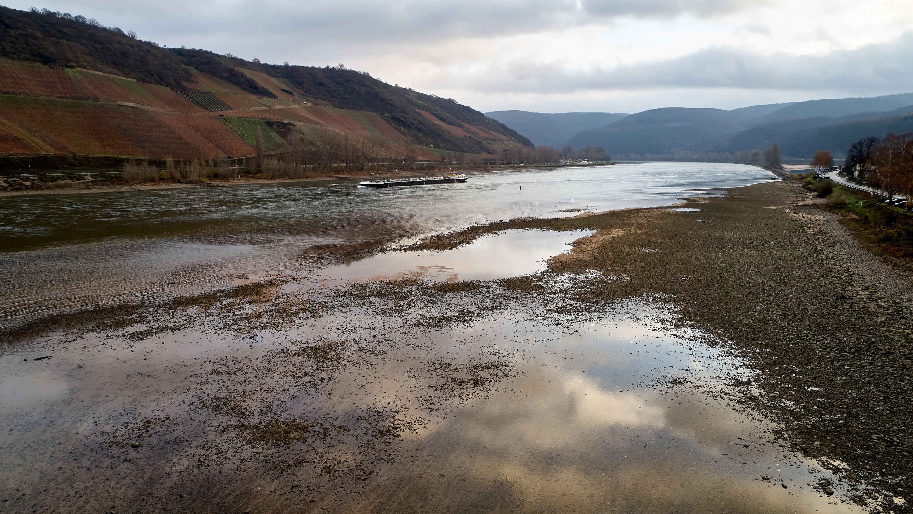 Dürre am Rhein: Schiffe können nur noch die halbe Ladung aufnehmen Der Dürre-Sommer un der trockene Herbst führen zu Niedrigwasser im Rhein.