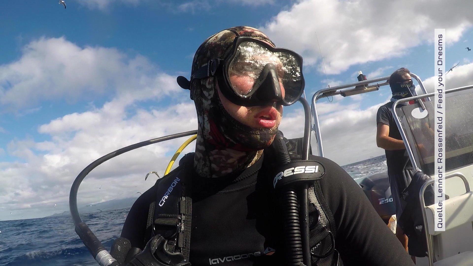 Auge in Auge mit Haien, Mantarochen und Co.: Lennart aus Oldenburg arbeitet als Unterwasserkameramann Unterwasserkameramann Lennart Rossenfeld bei der Arbeit