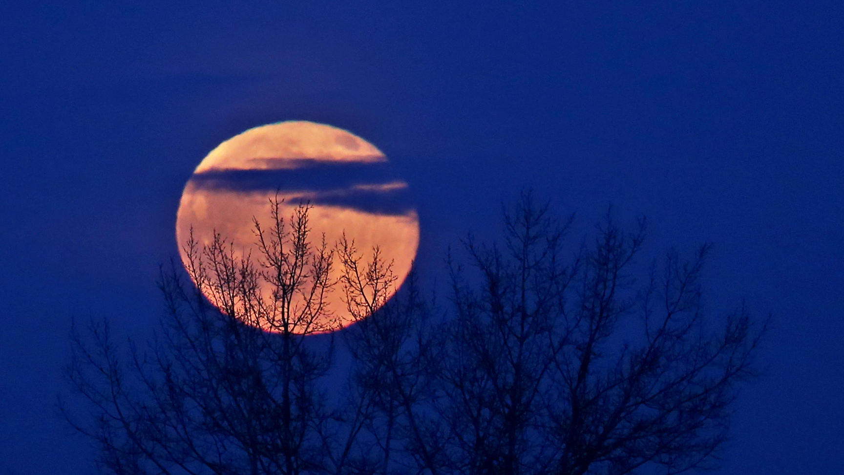 Das Wetter im März: Der erste Monat im Frühling zieht alle Register 30.12.2020, Bayern, Bad Wörishofen: Der aufgehende Vollmond leuchtet hinter Bäumen am Abendhimmel. Foto: Karl-Josef Hildenbrand/dpa +++ dpa-Bildfunk +++