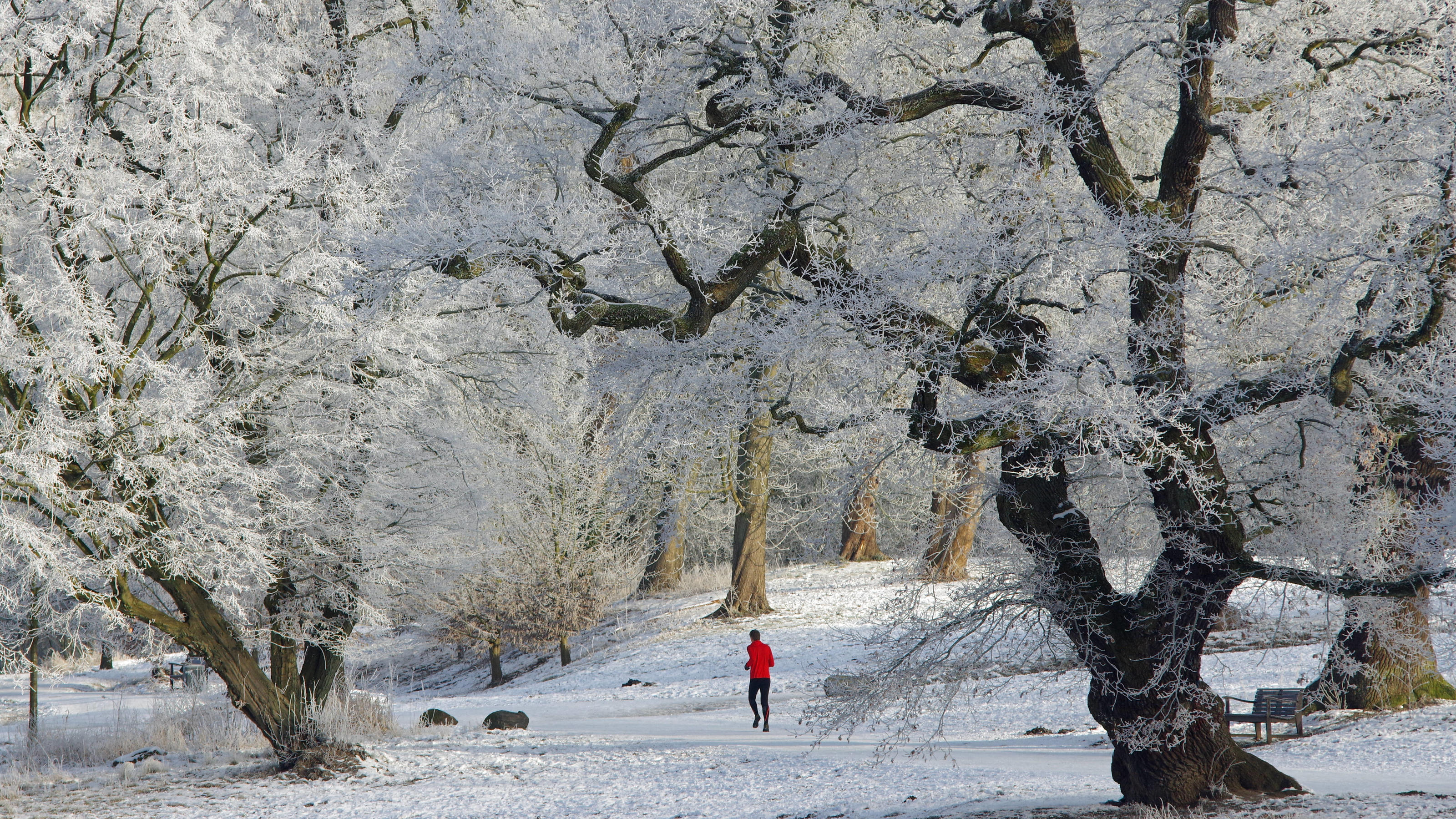 Deshalb ist der Winter 2021 ein gutes Beispiel für den Klimawandel Das gibt es nicht so oft, dass die Hamburger durch den Schnee joggen.