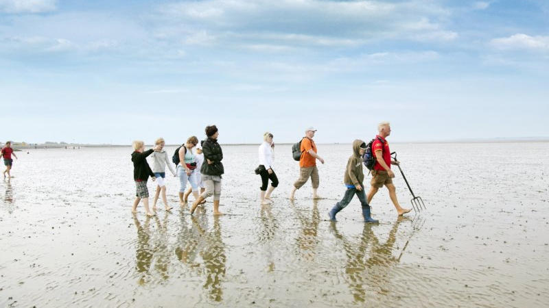 Urlaub mit Kindern: Ferien in Deutschland mit der Familie – aber wie? Wattwanderung