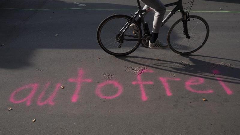 Brauchen wir in der Klimakrise eine Ökodiktatur?