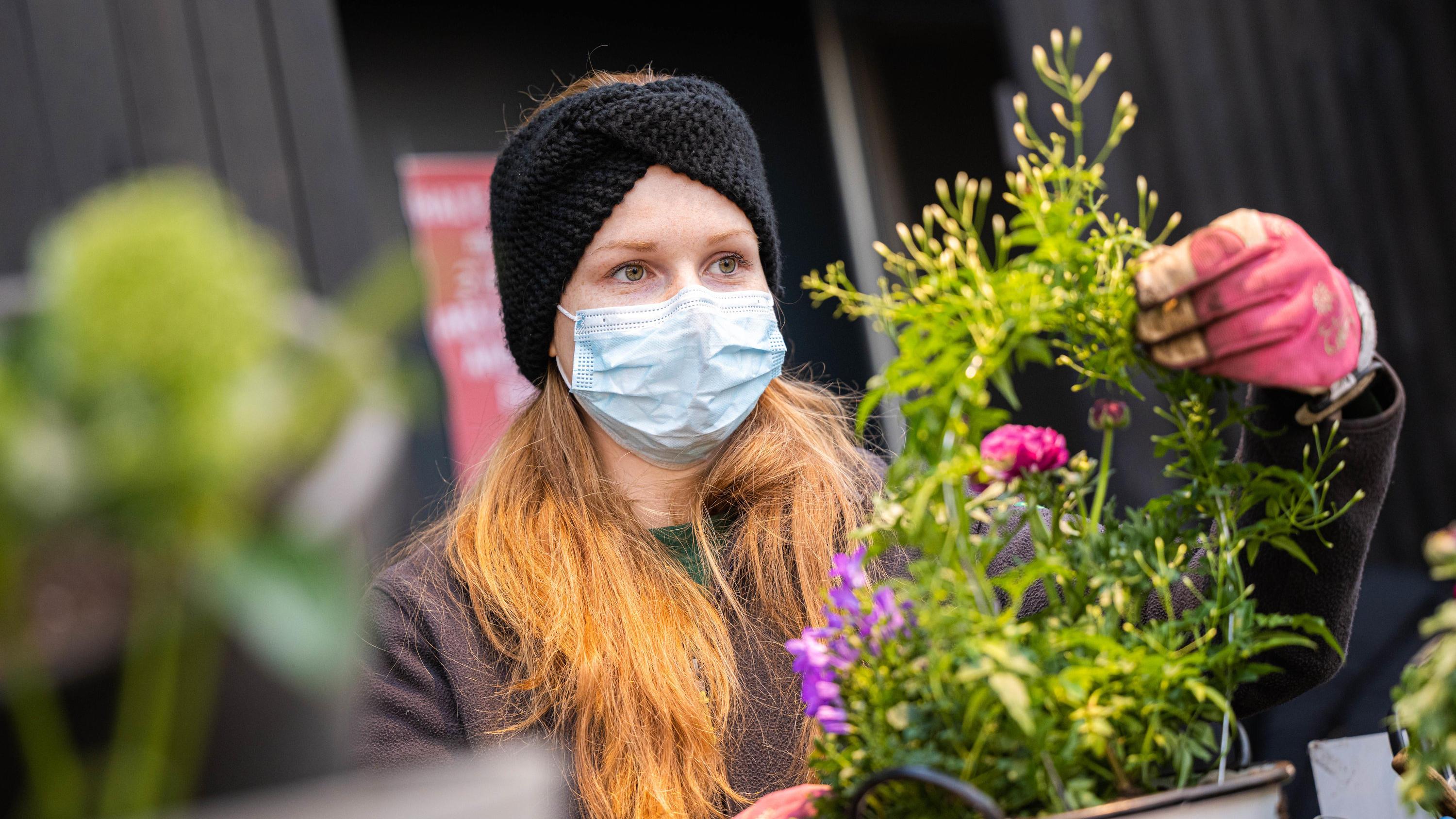 Gartencenter, Fußpflege und Freizeitsport: Diese Bundesländer lockern bereits 13.02.2021, Niedersachsen, Oldenburg: Alexandra Stahnke, Mitarbeiterin im Oldenburger Wohngarten, bereitet einen Blumentopf für den Verkauf vor. Foto: Mohssen Assanimoghaddam/dpa +++ dpa-Bildfunk +++
